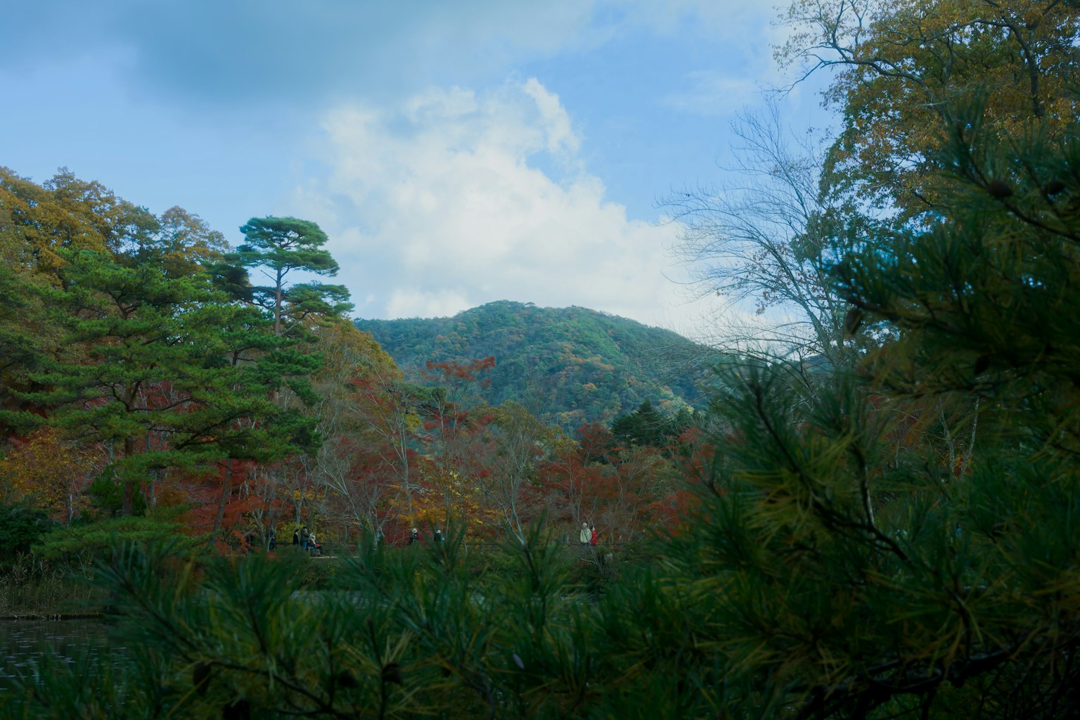 Paisaje otoñal con árboles coloridos y montañas distantes