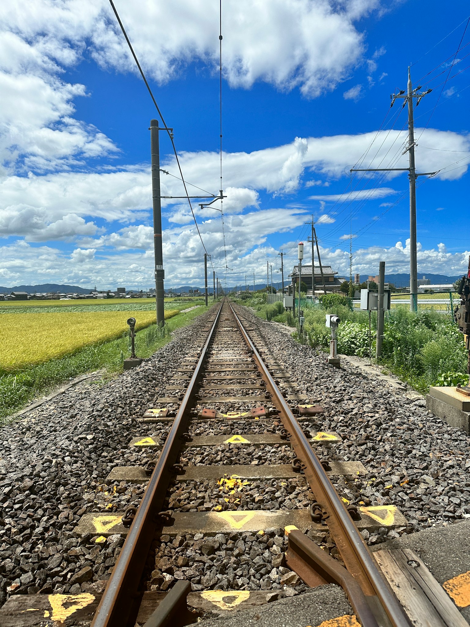 Binari ferroviari che si estendono in un paesaggio rurale sotto un cielo azzurro brillante