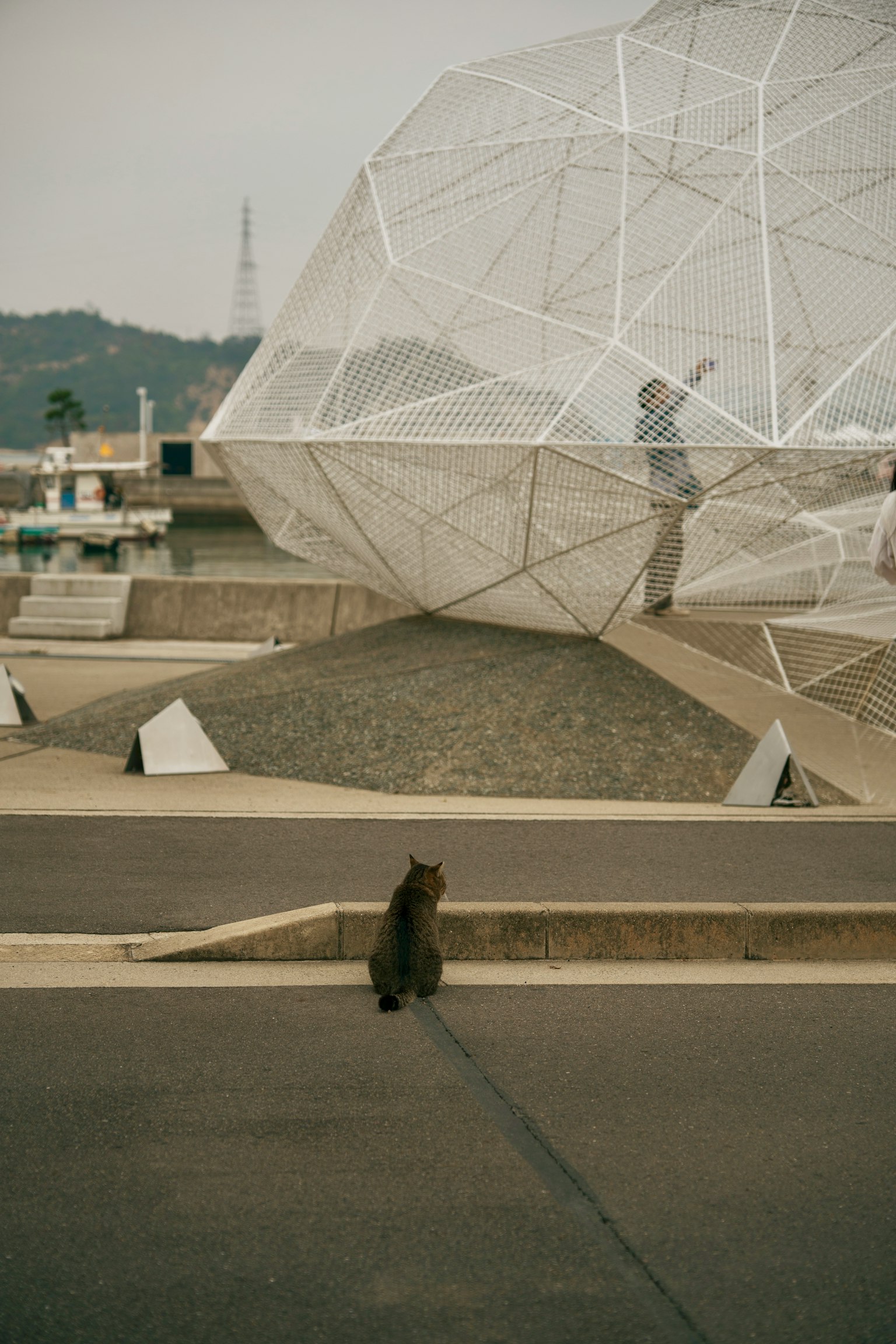 Dog sitting in front of a geometric structure