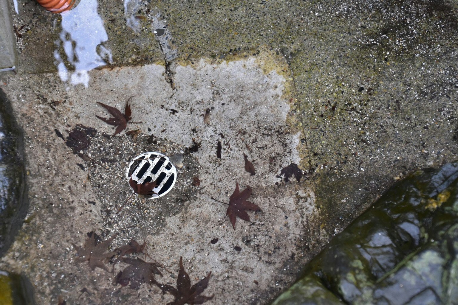 Concrete ground with fallen leaves and a drain in a puddle