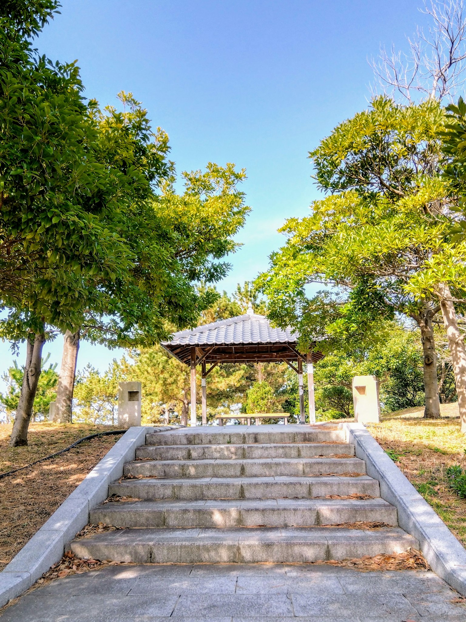 Pavilion with a tiled roof at the top of stone steps surrounded by lush trees