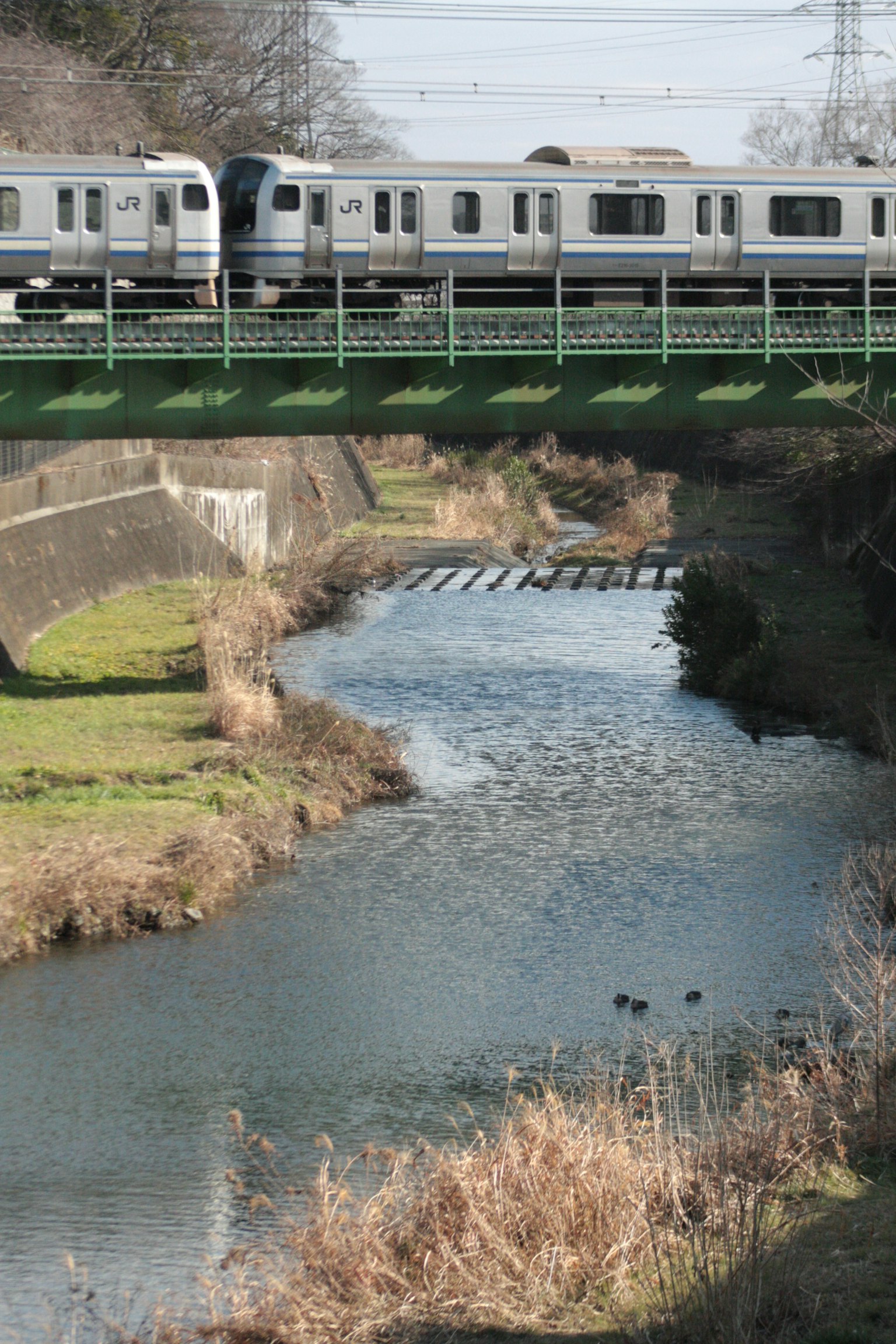 Tren cruzando un puente verde sobre un río rodeado de hierba