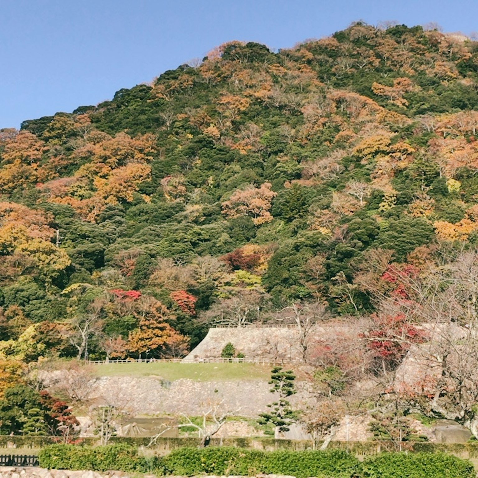 Vue pittoresque d'une montagne avec un feuillage d'automne vibrant