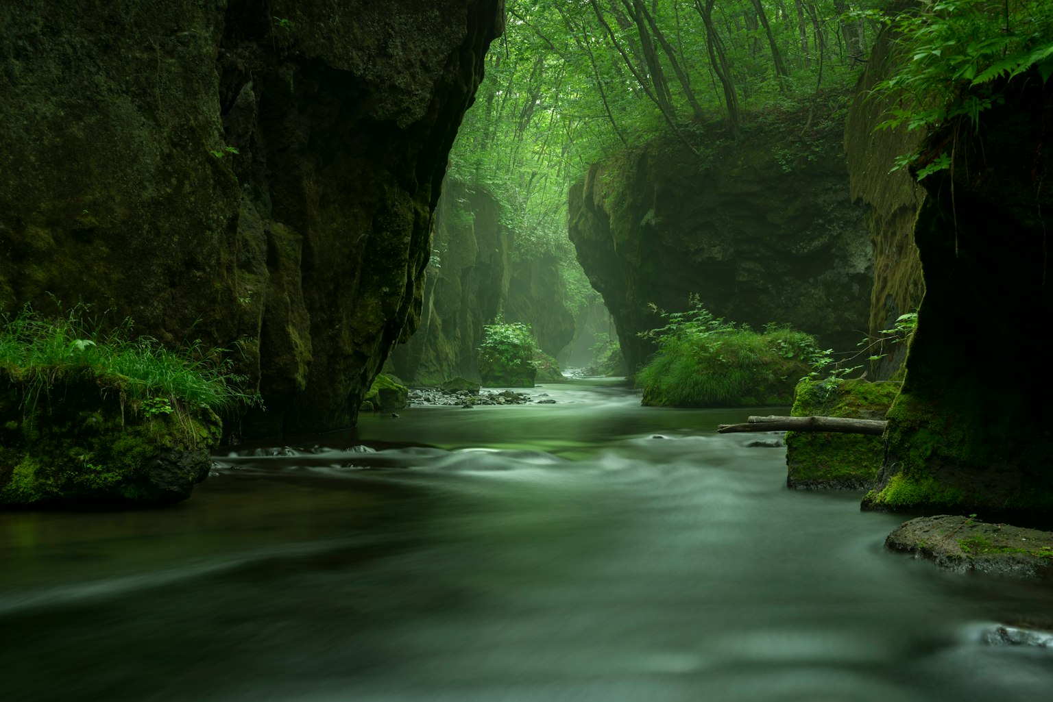 Ruhiger Fluss, der durch eine üppige grüne Schlucht fließt