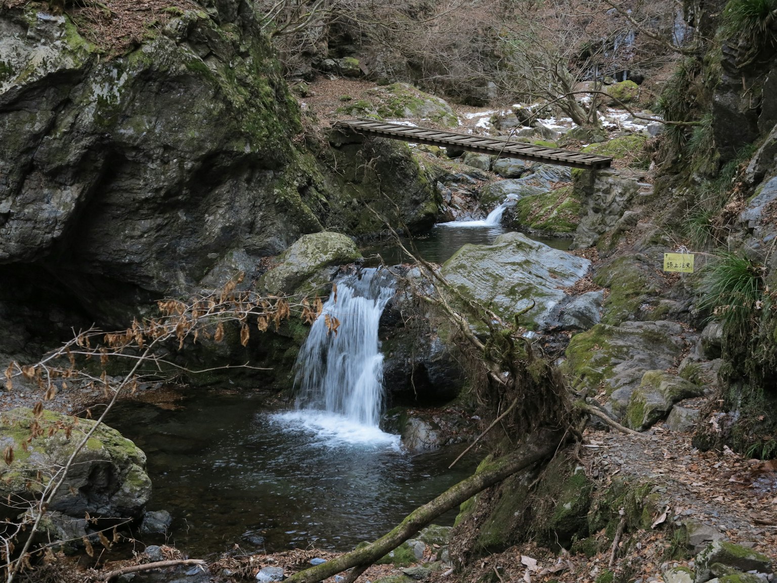 自然风景，包含小溪和小瀑布