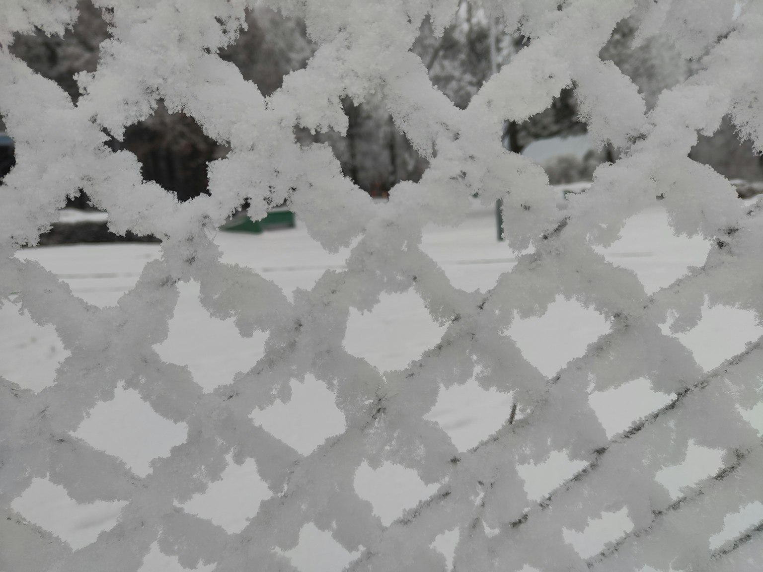 结冰的格子围栏与背景的雪景