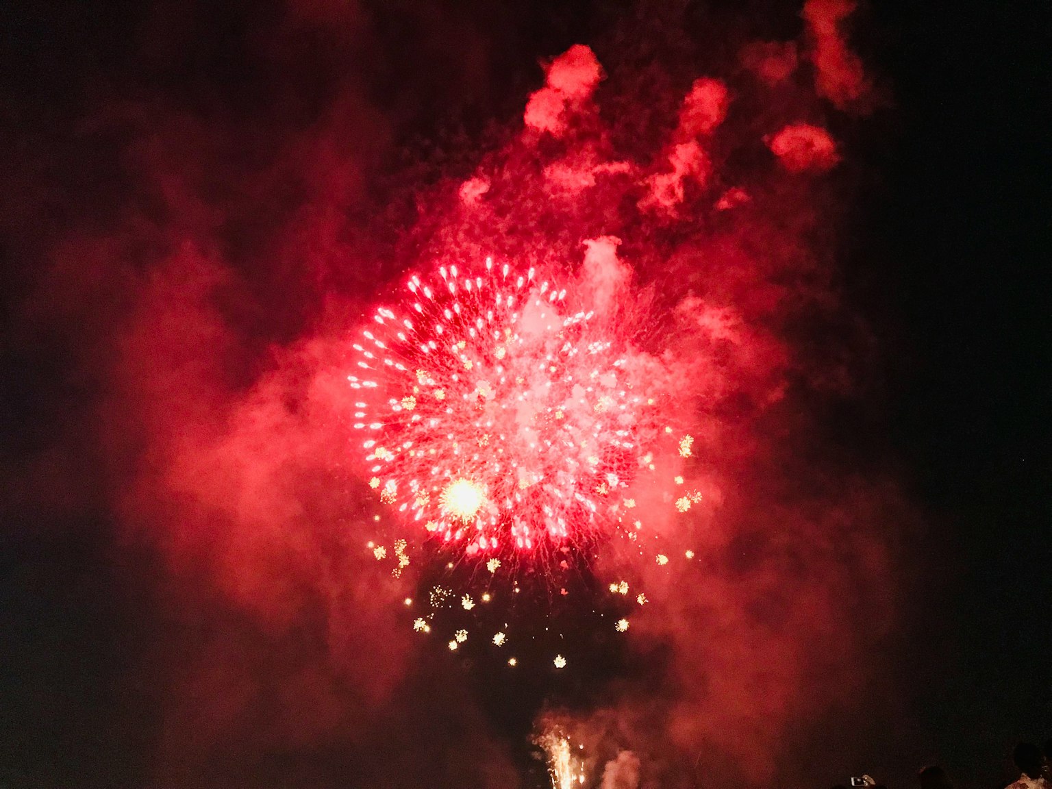 美丽的红色烟花照亮夜空