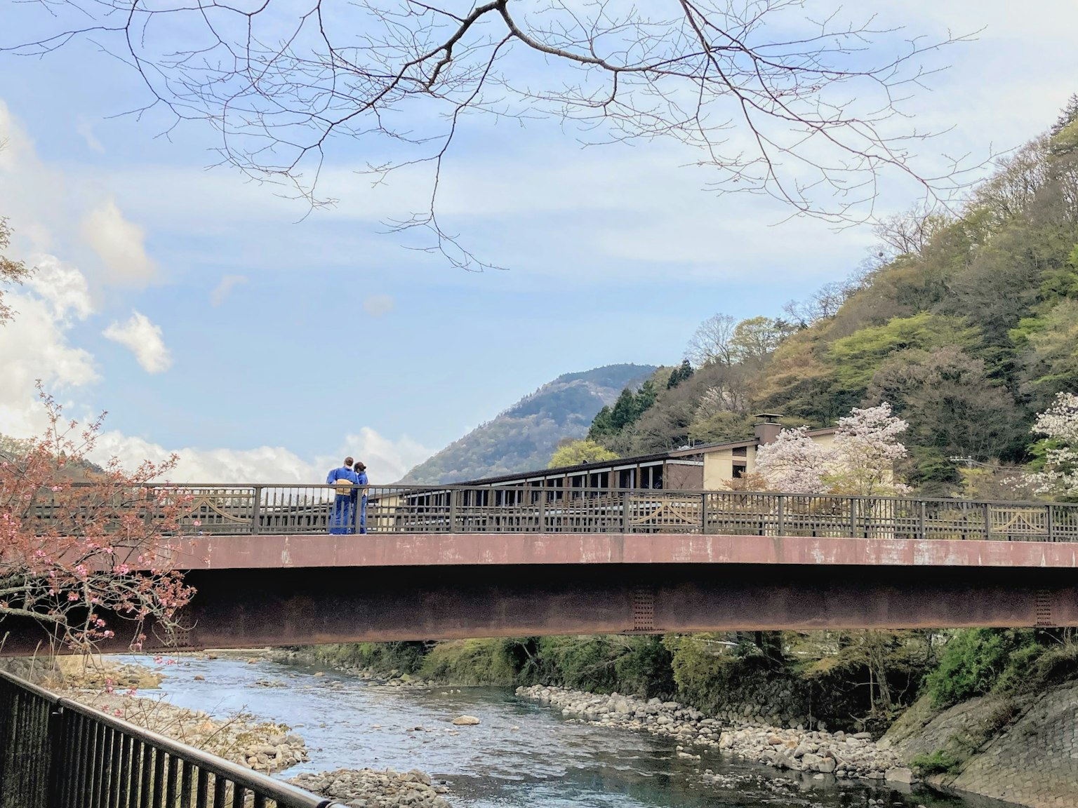 Pemandangan jembatan dengan pohon sakura di bawah langit biru