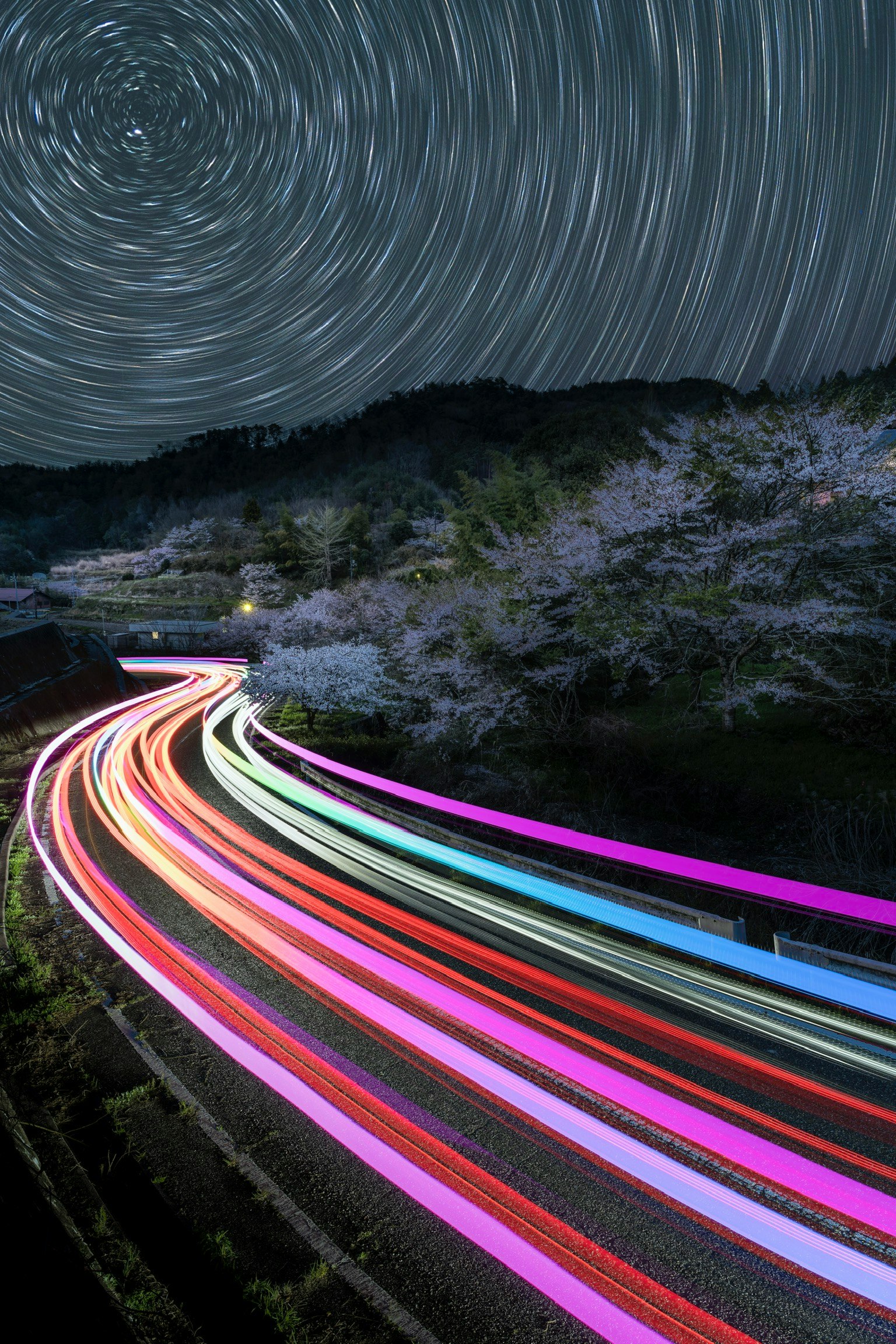 Trails de lumière sous un ciel nocturne tourbillonnant avec des cerisiers en fleurs