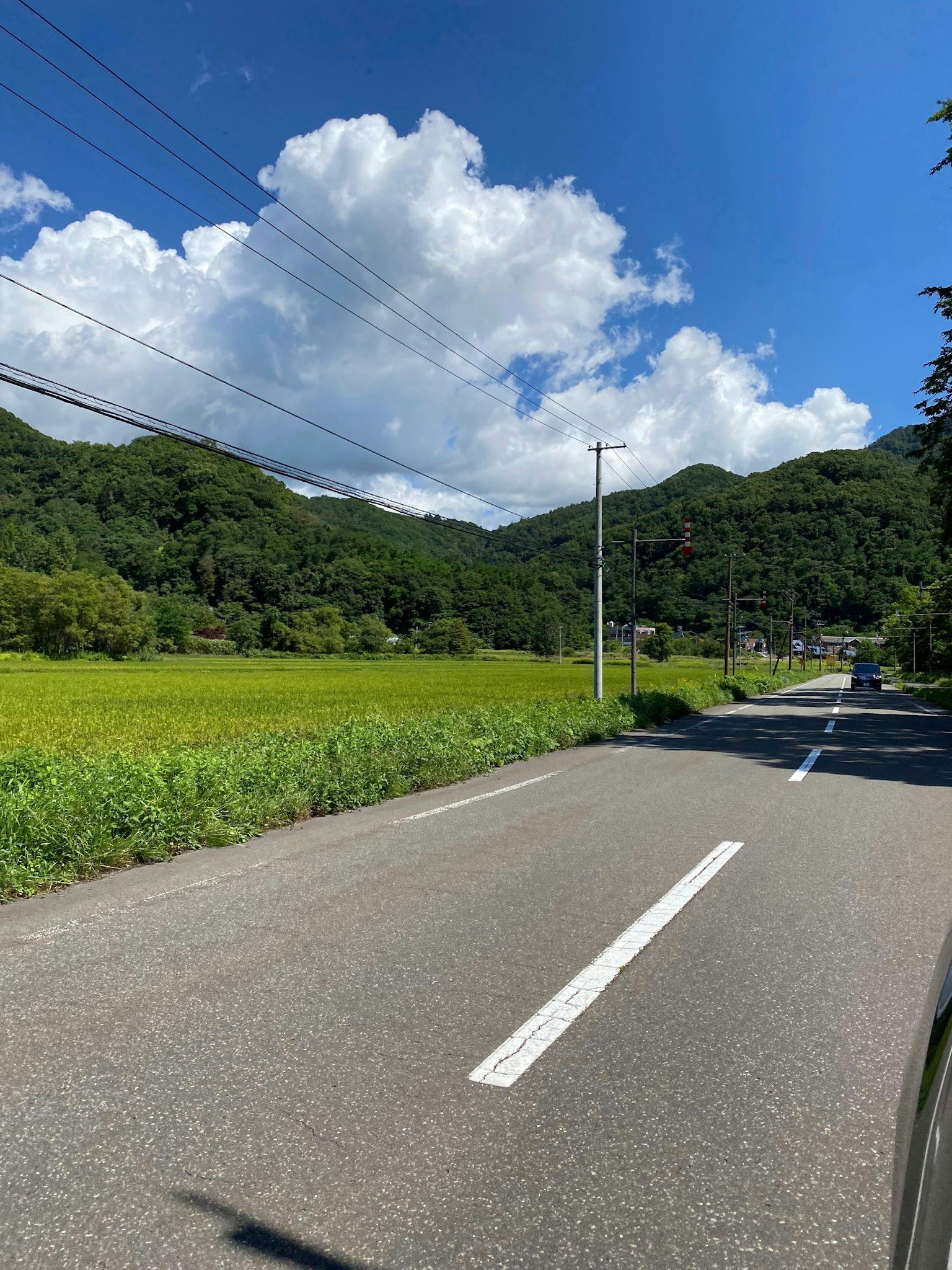 Paysage rural avec ciel bleu et nuages blancs présentant une route et des champs de riz verts