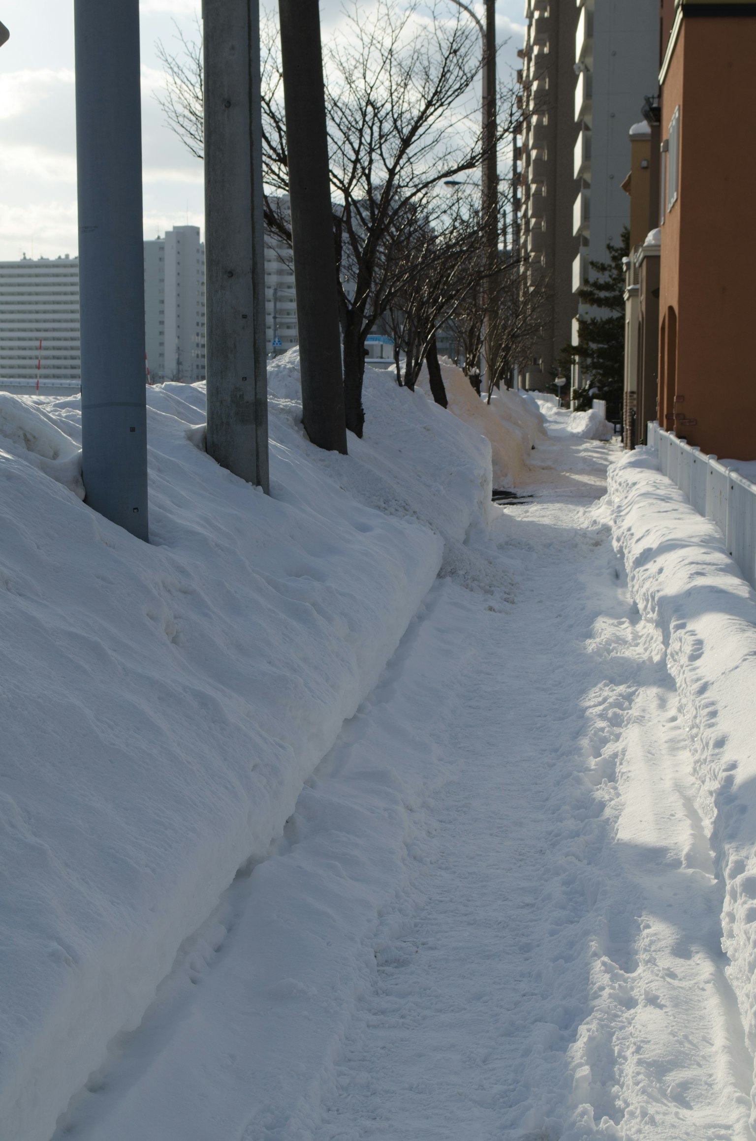 Acera cubierta de nieve con árboles y edificios