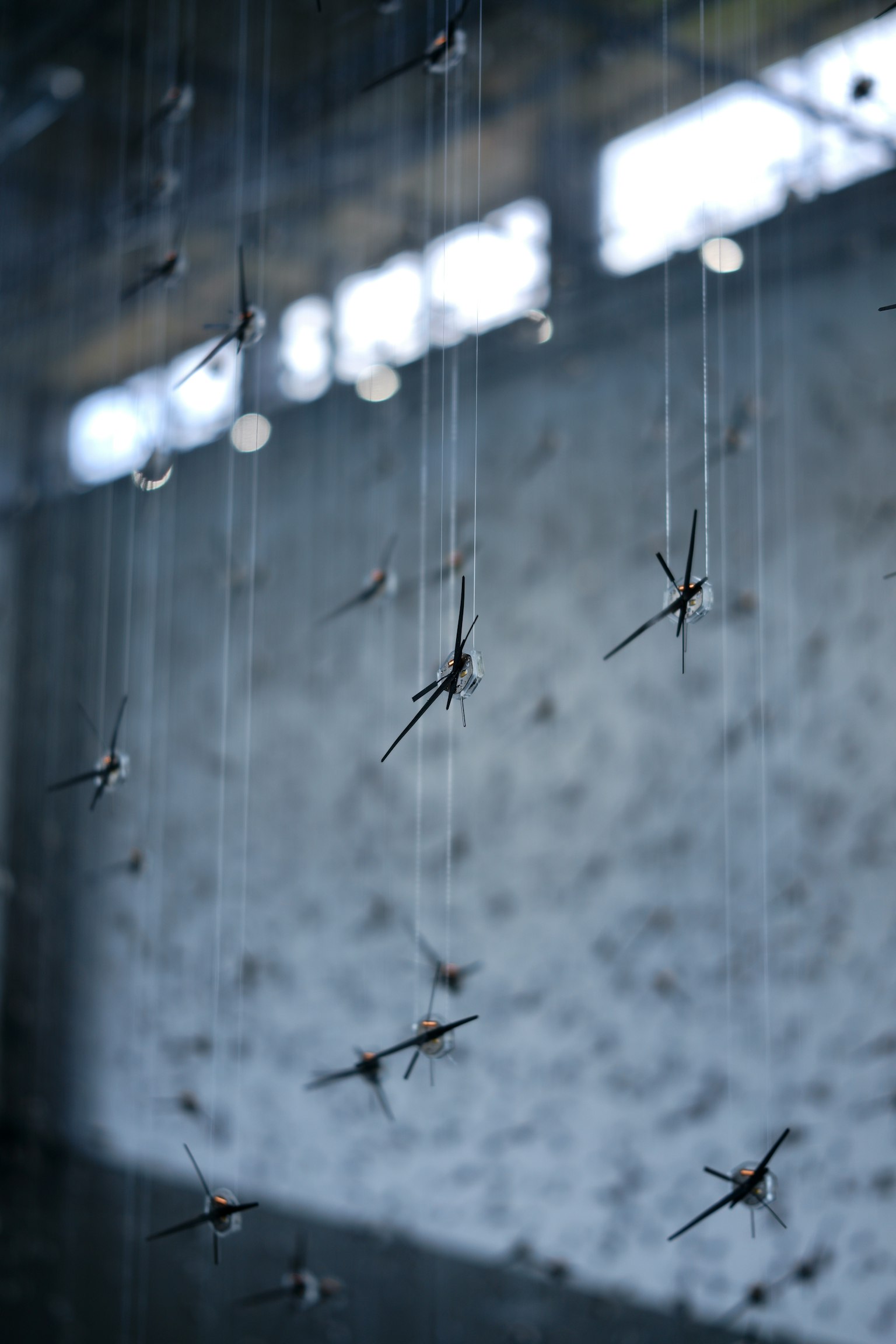 Petits insectes suspendus sur des fils transparents devant un mur texturé