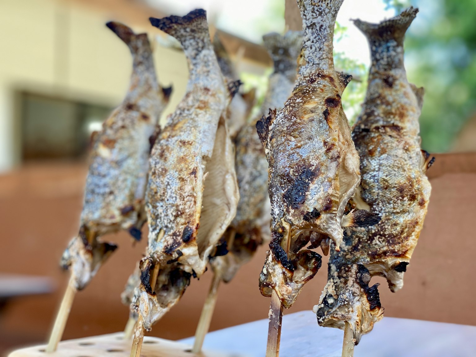Brochetas de pescado a la parrilla alineadas