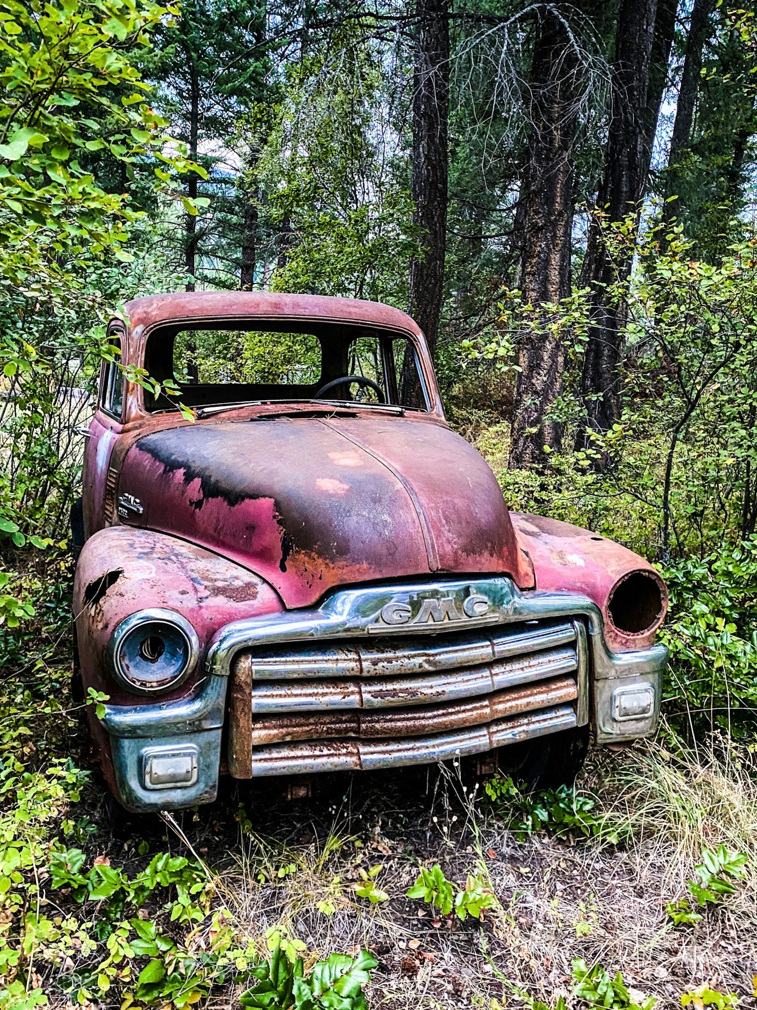 Verlassener rostiger roter Lastwagen umgeben von Grün in einem Wald