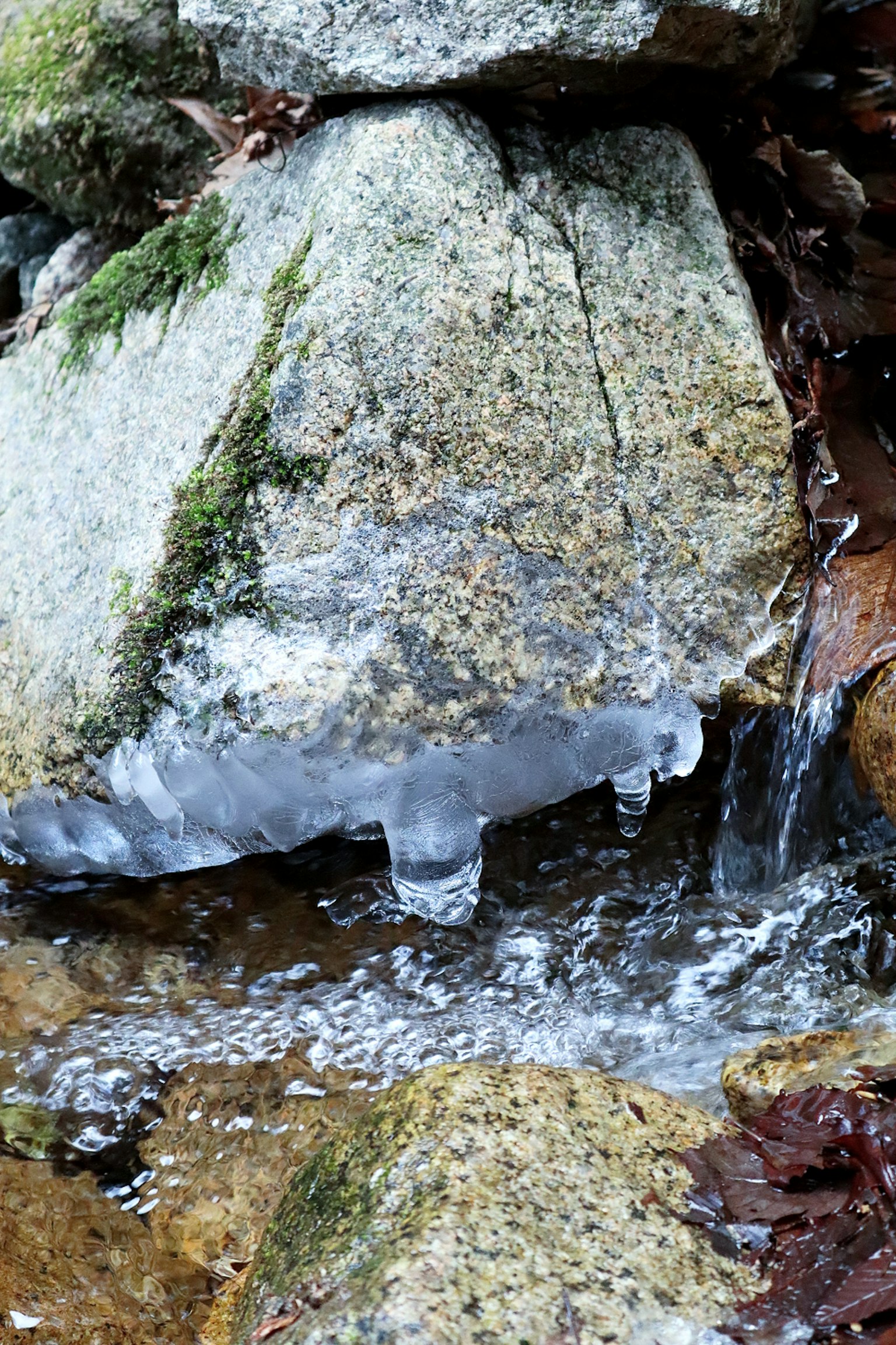 Un ruisseau coulant sur une roche recouverte de glace