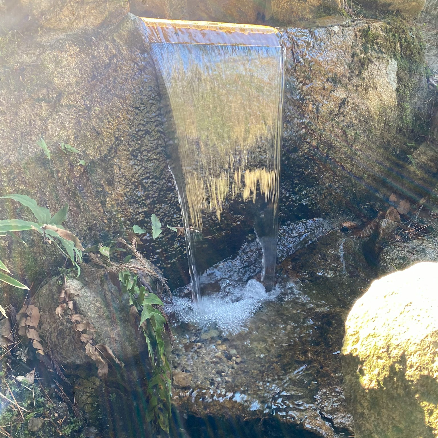 Wasser fließt aus einem kleinen Bach über eine felsige Oberfläche, umgeben von grünen Pflanzen