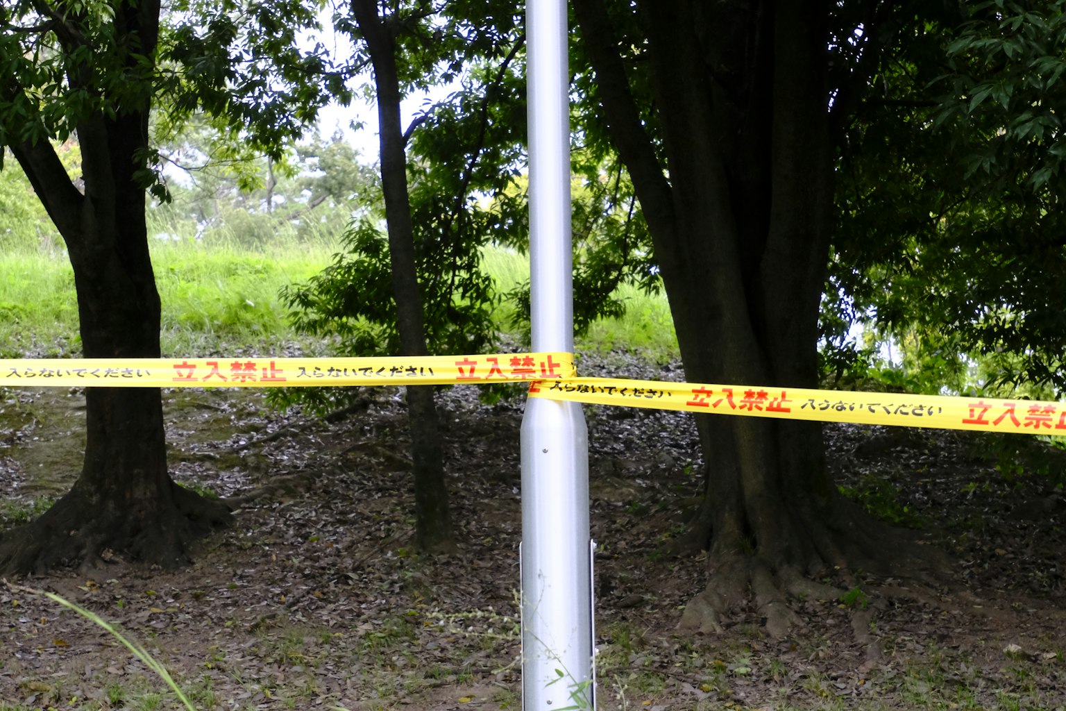 Ruban de mise en garde entourant un poteau dans une zone de parc avec des arbres