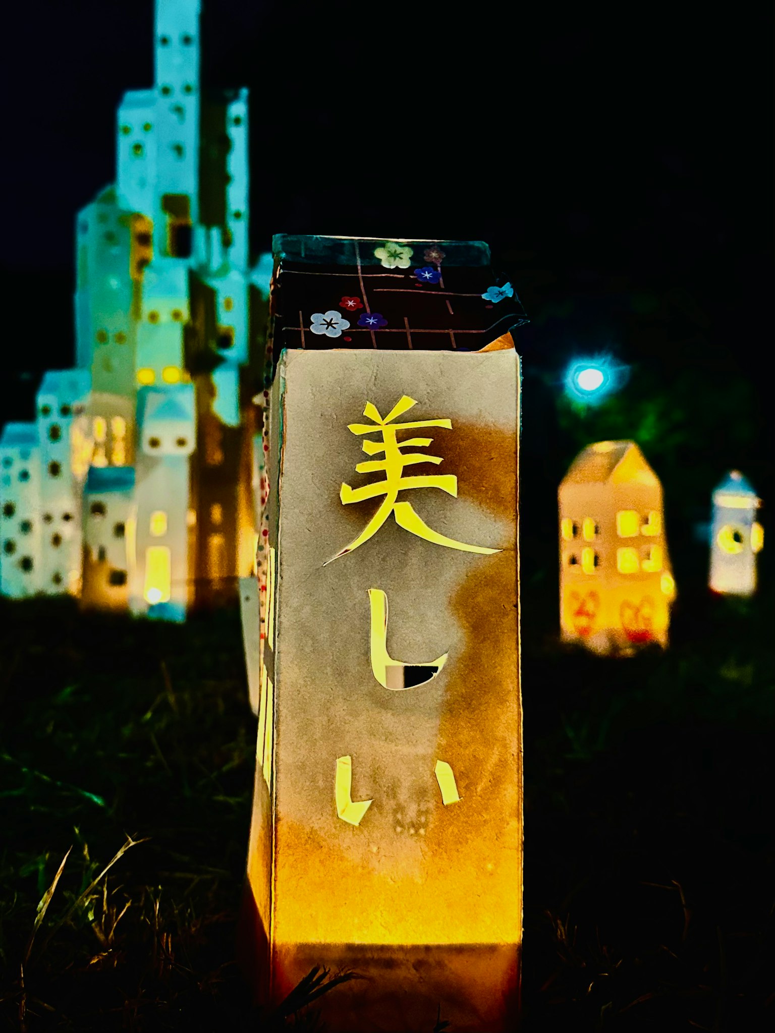 Illuminated beautiful lanterns and buildings at night