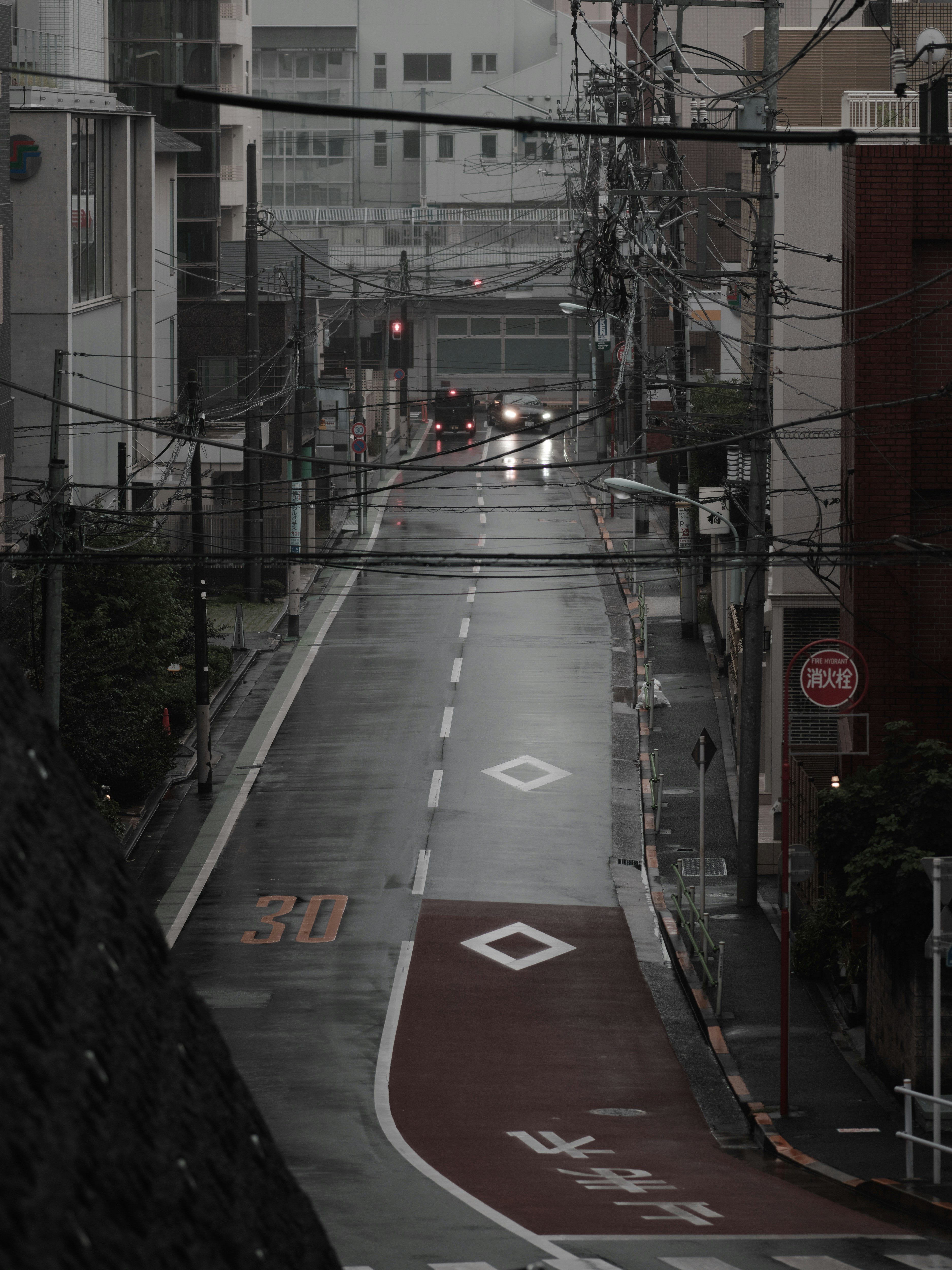 三分坂から望む雨の東京の街並み