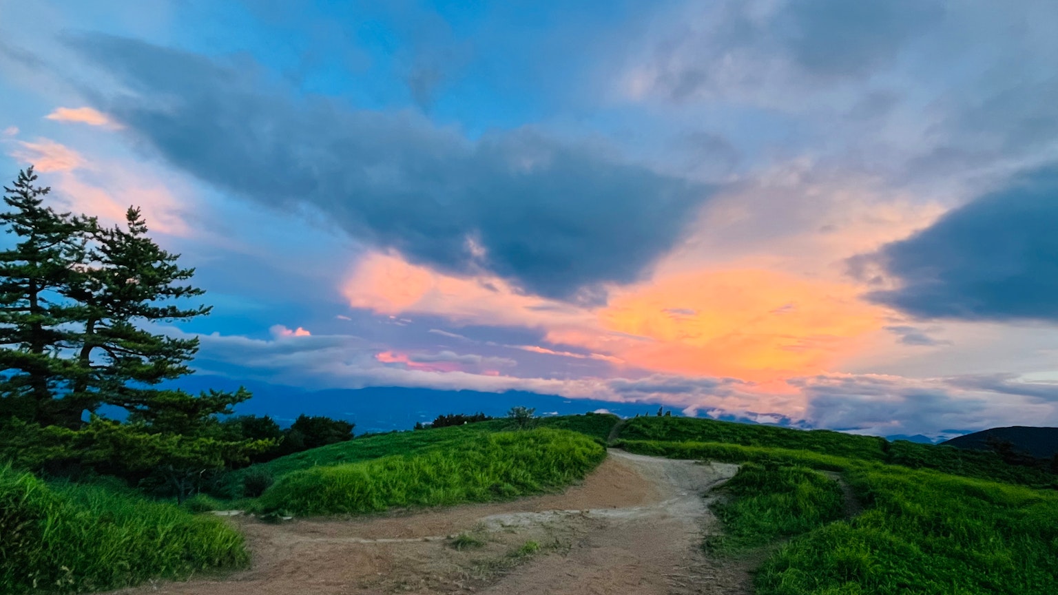 Sentiero panoramico con colori vivaci del tramonto e vegetazione lussureggiante