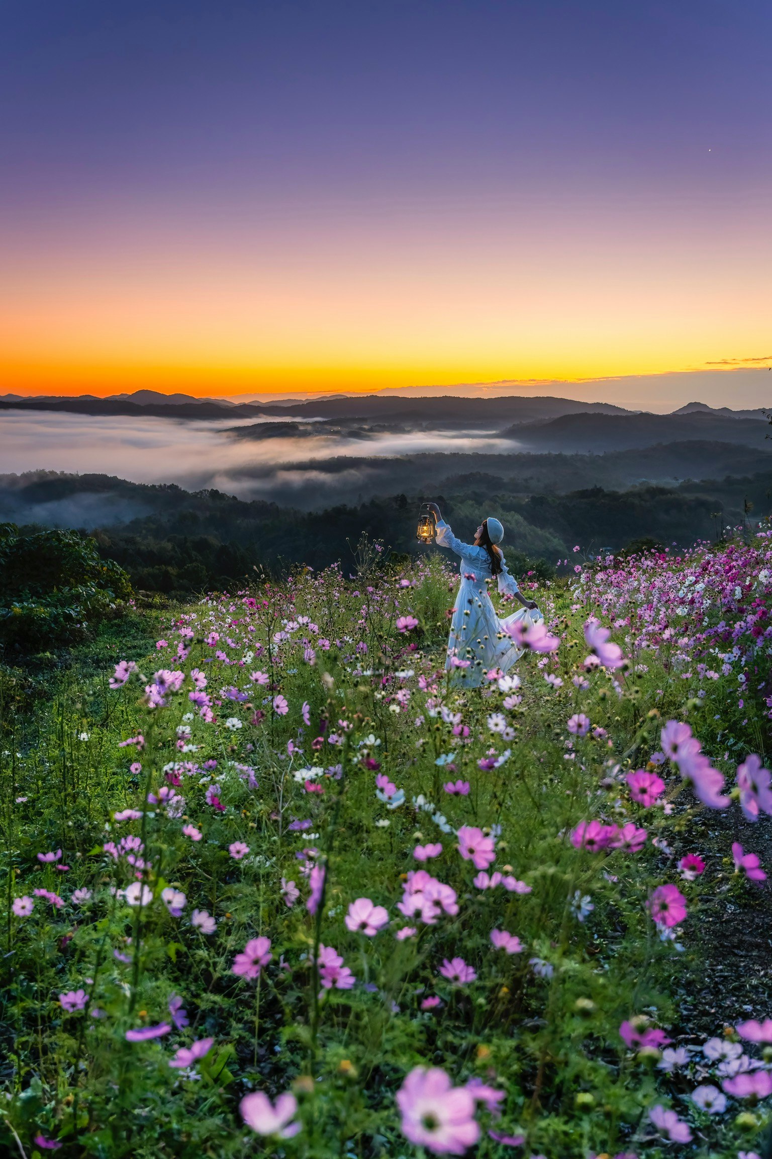 夕焼けの中で花畑に立つ女性のシルエットと霧の谷