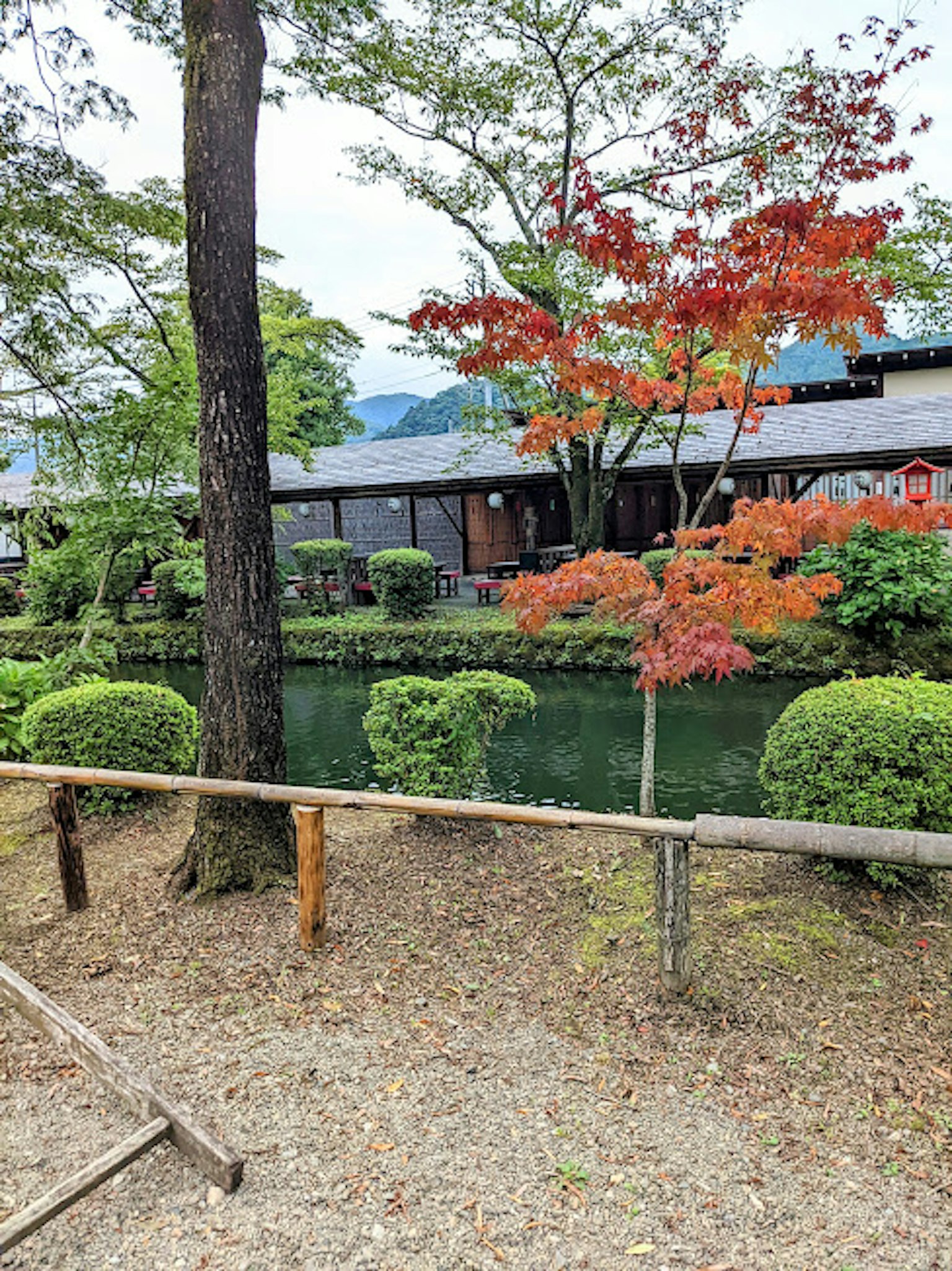 ทิวทัศน์ของสวนที่มีบ่อน้ำและใบไม้ฤดูใบไม้ร่วงที่มีสีสัน
