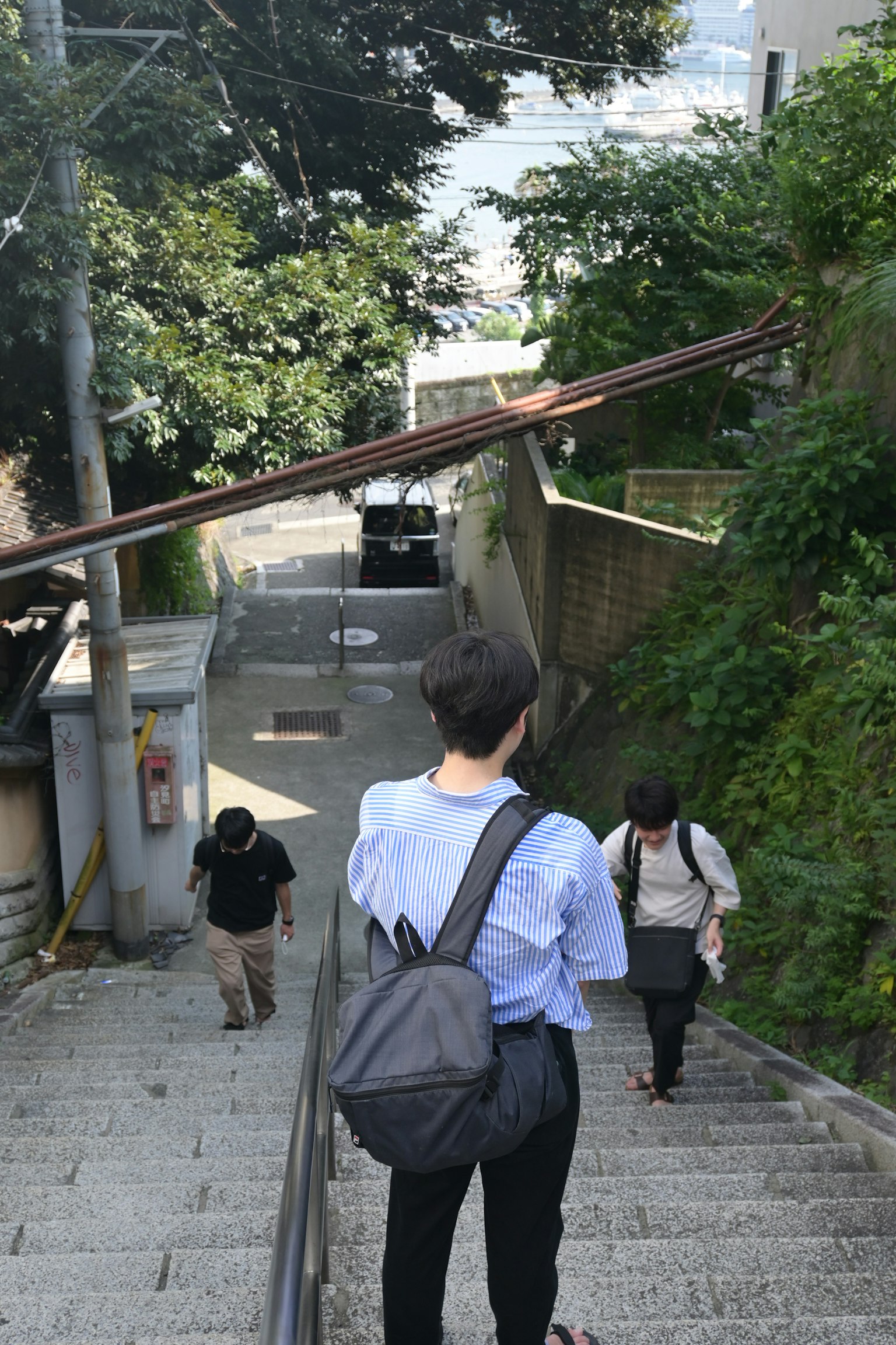 Menschen, die eine Treppe hinuntergehen, umgeben von Grün