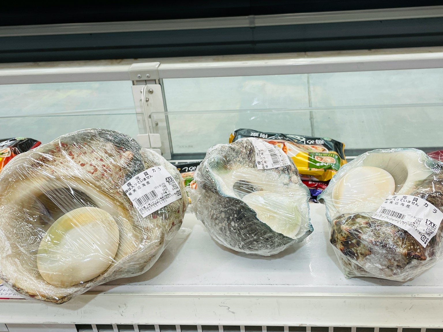 Drei große gefrorene Pilze in Plastik auf einem Regal