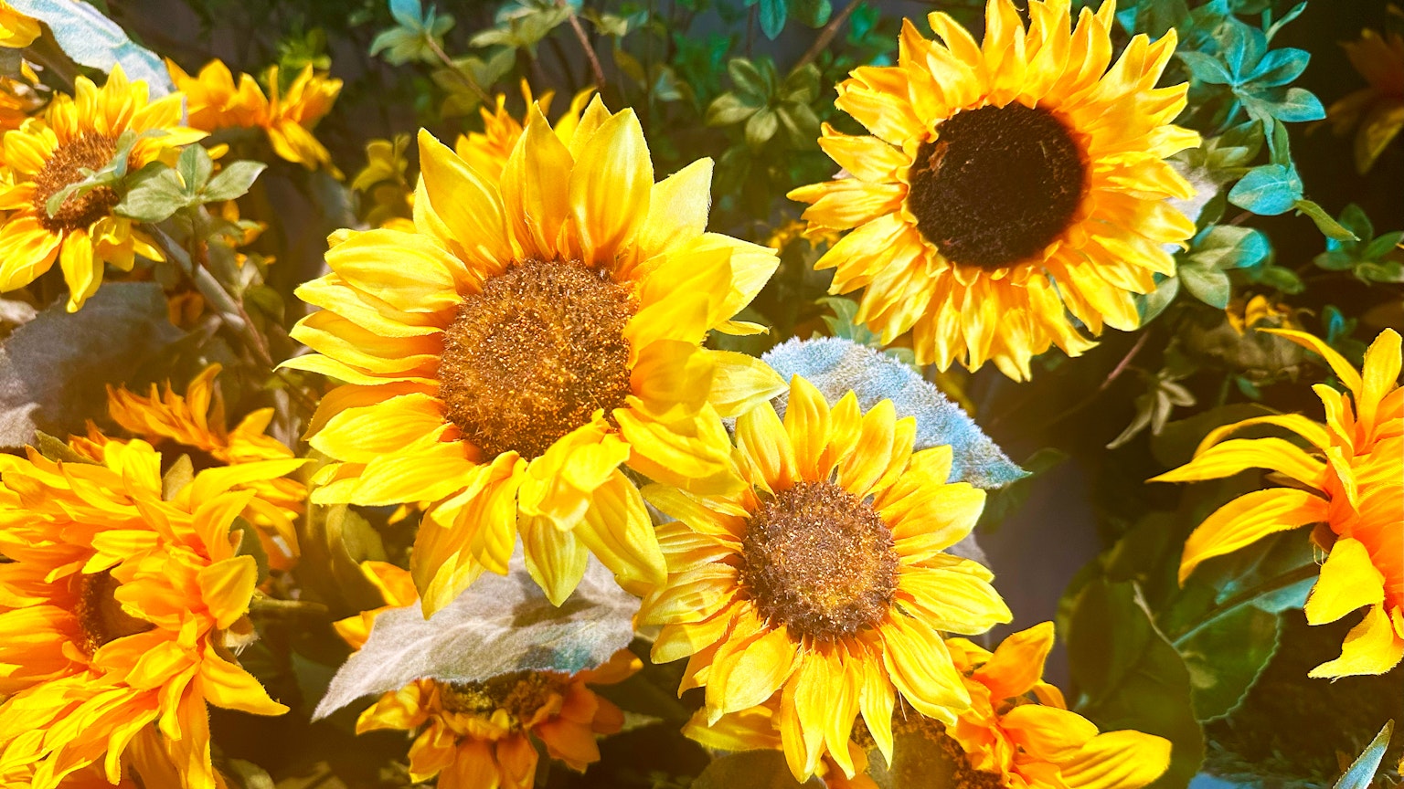 Lebendiger Strauß aus Sonnenblumen mit leuchtend gelben Blütenblättern