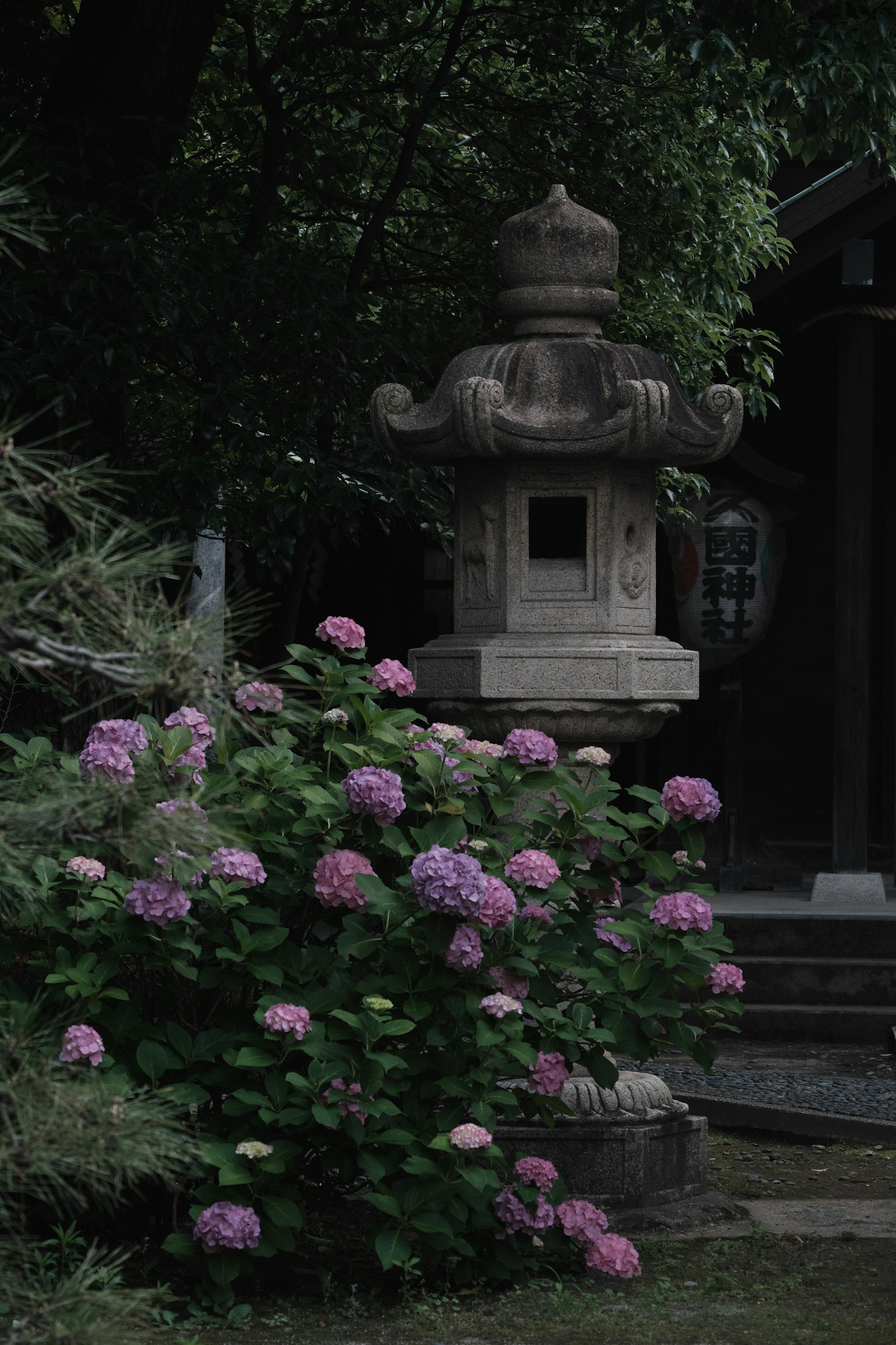 Stone lantern surrounded by hydrangea flowers in a green setting