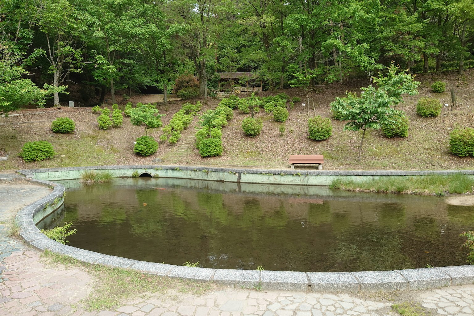 Pemandangan taman yang tenang dengan kolam dan pepohonan rimbun