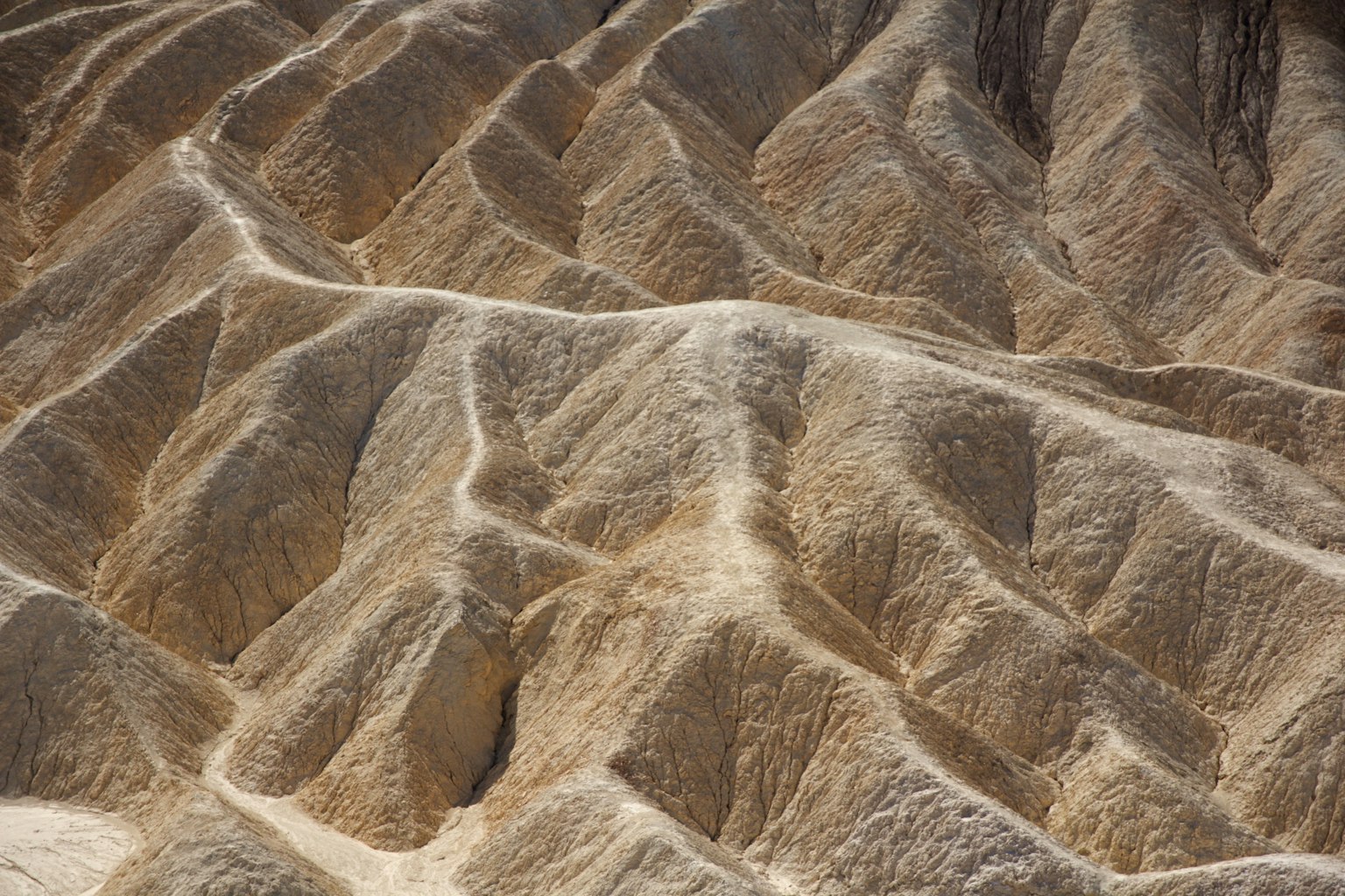 Wellige Landschaft auf trockenem Boden
