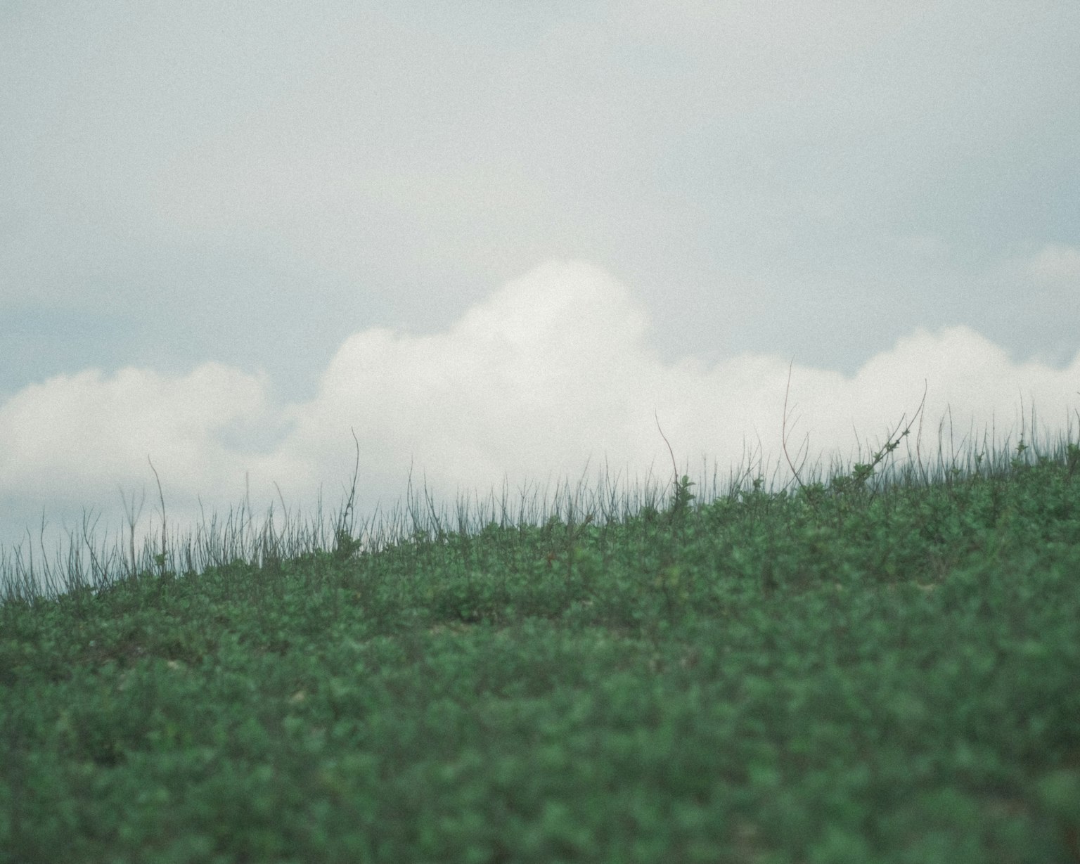 Un paesaggio sereno con una collina verde e nuvole