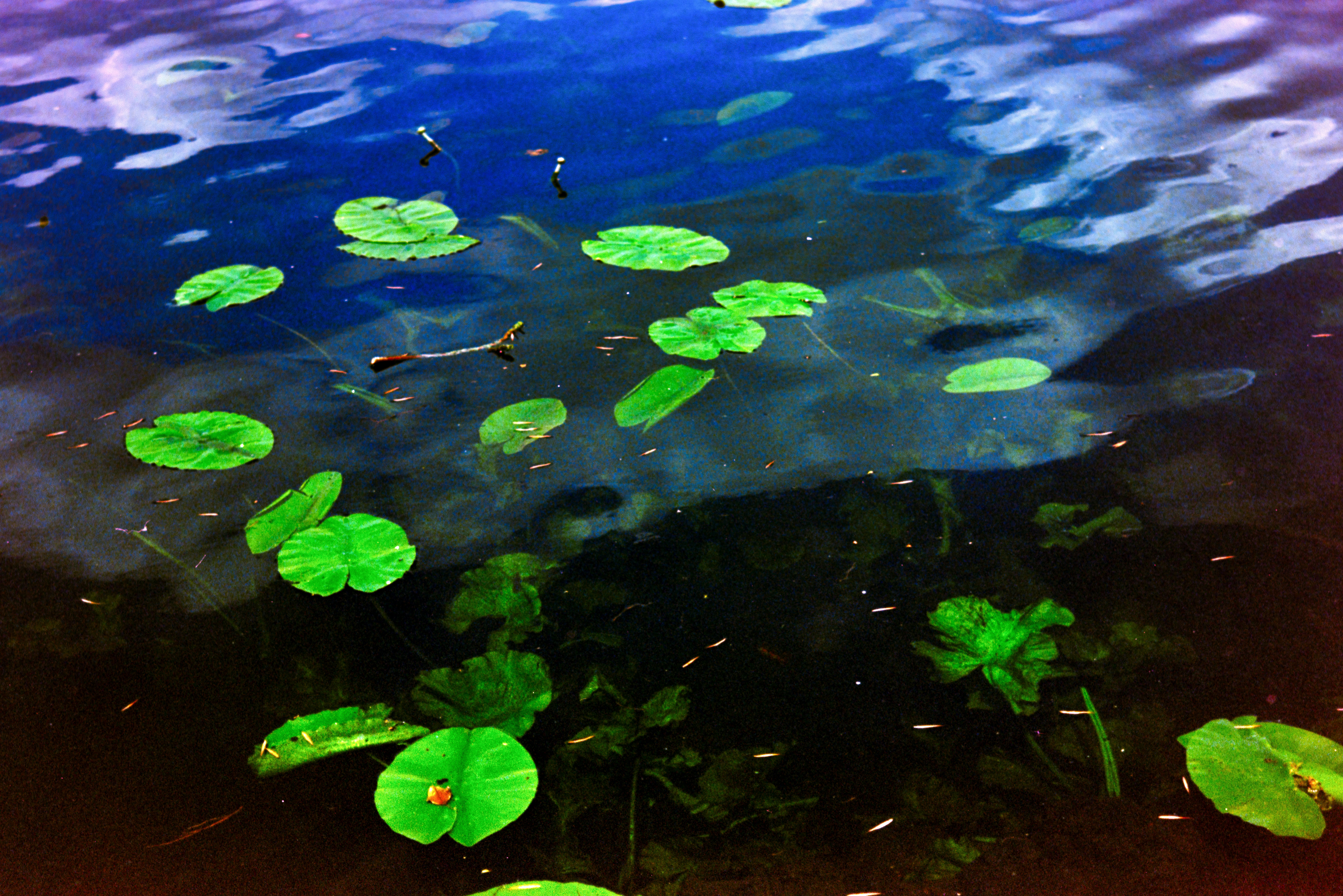 photo-6Fou6DBDbc3rzmmn0NRG-image