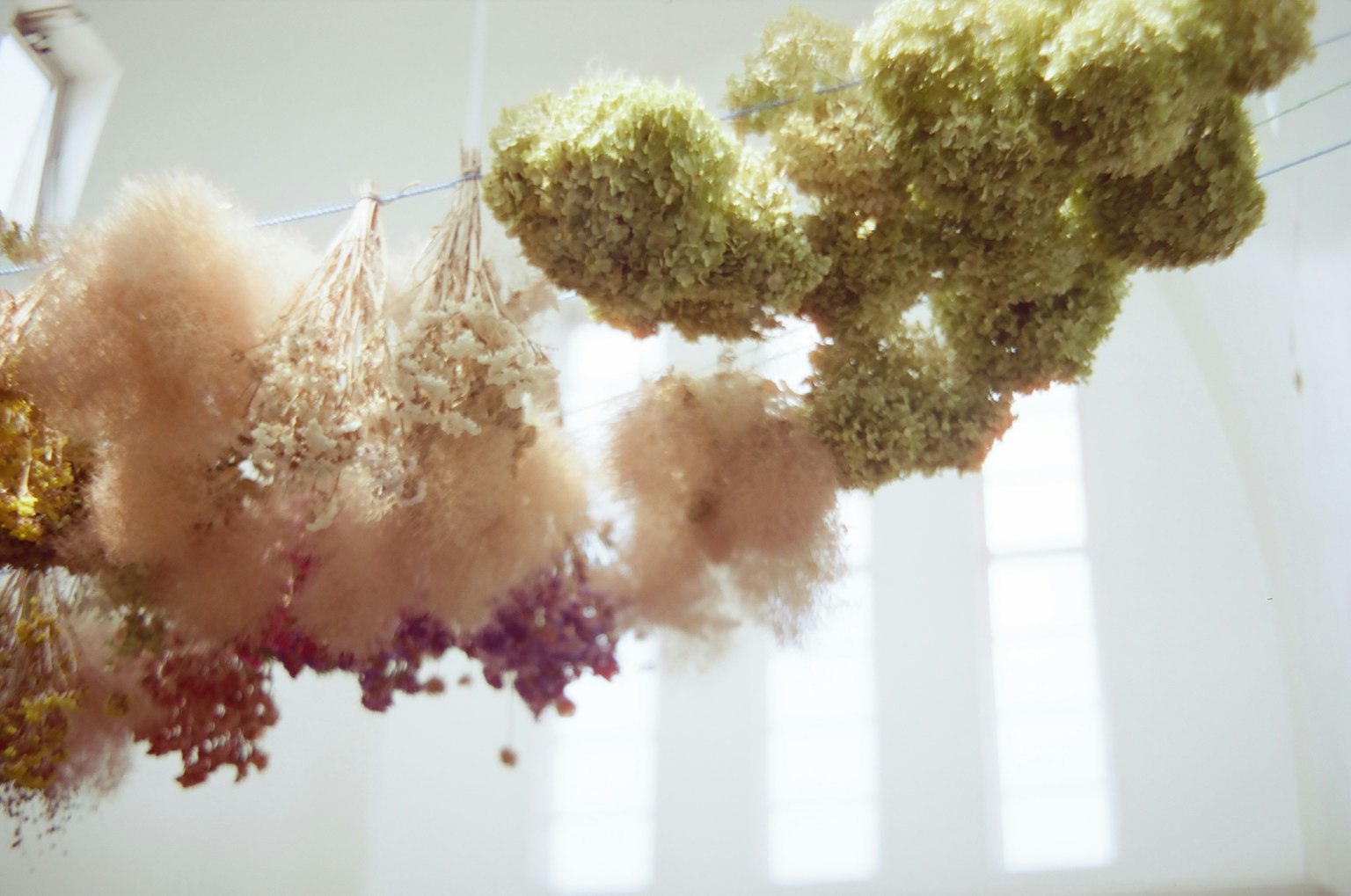 Composizione estetica di fiori secchi appesi al soffitto in colori tenui
