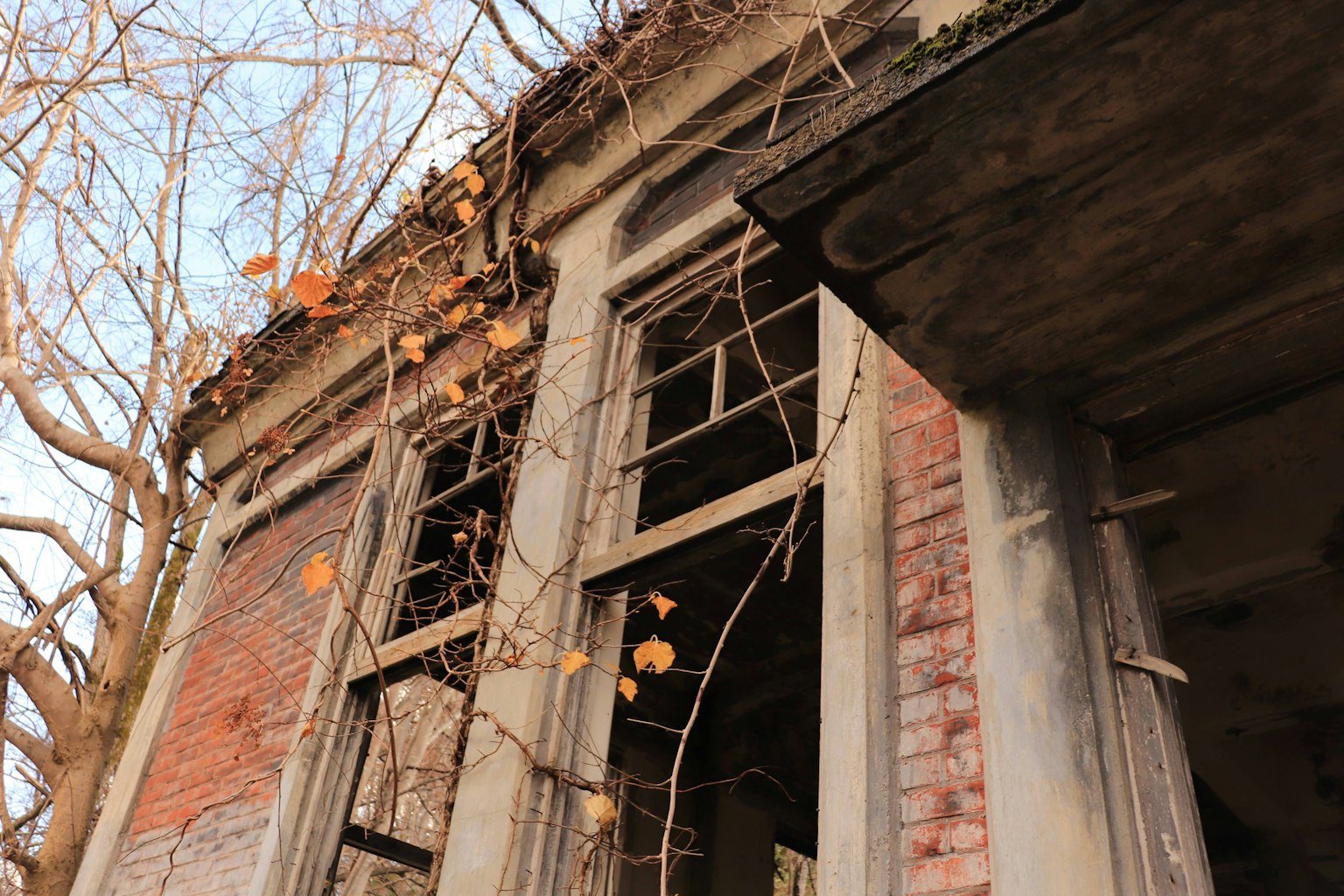 Abandoned building with broken windows and dry leaves