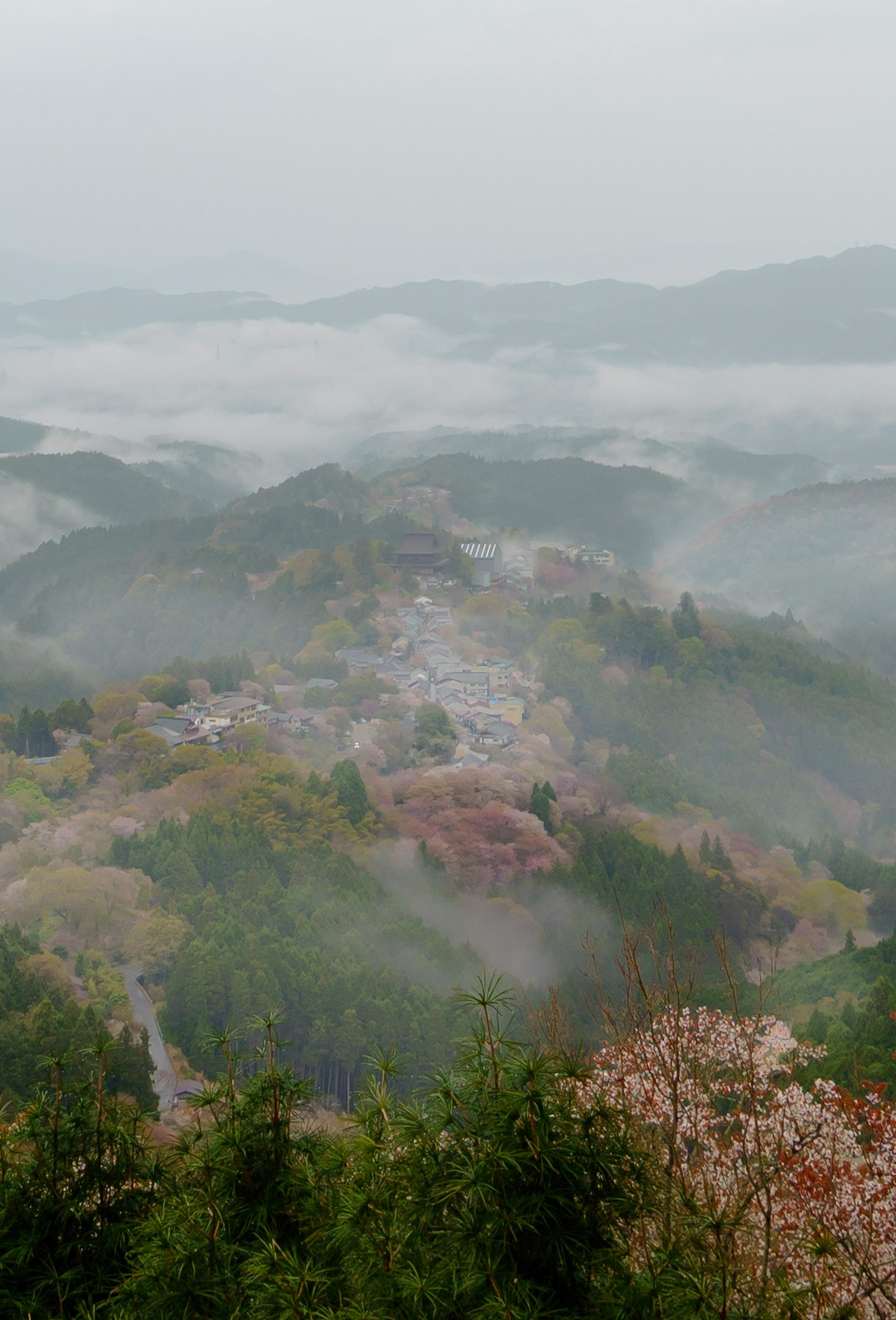 被霧氣籠罩的山脈景觀和下面的村莊展現出寧靜的晨美