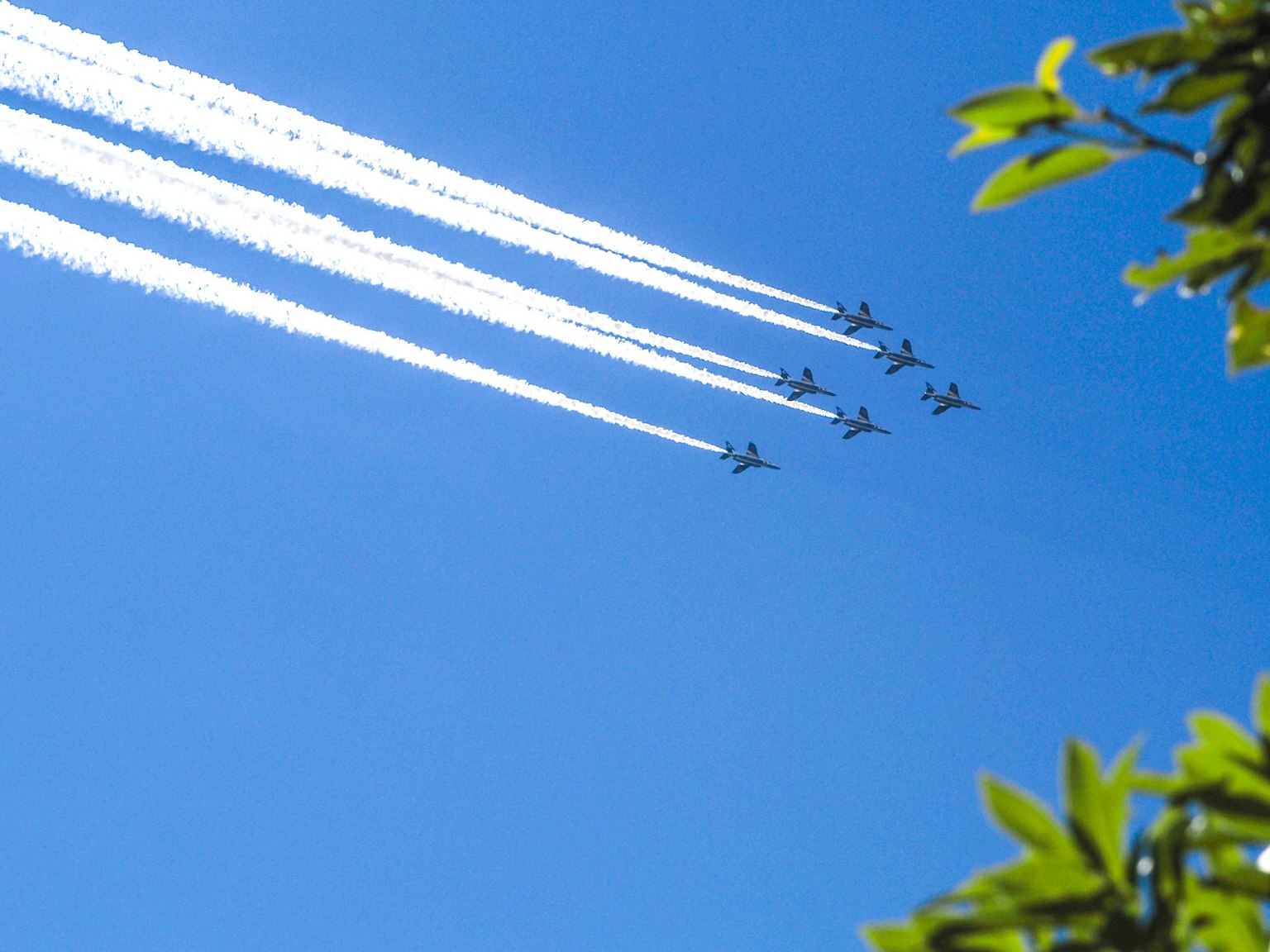 Pesawat menciptakan jejak putih di langit biru dengan daun hijau