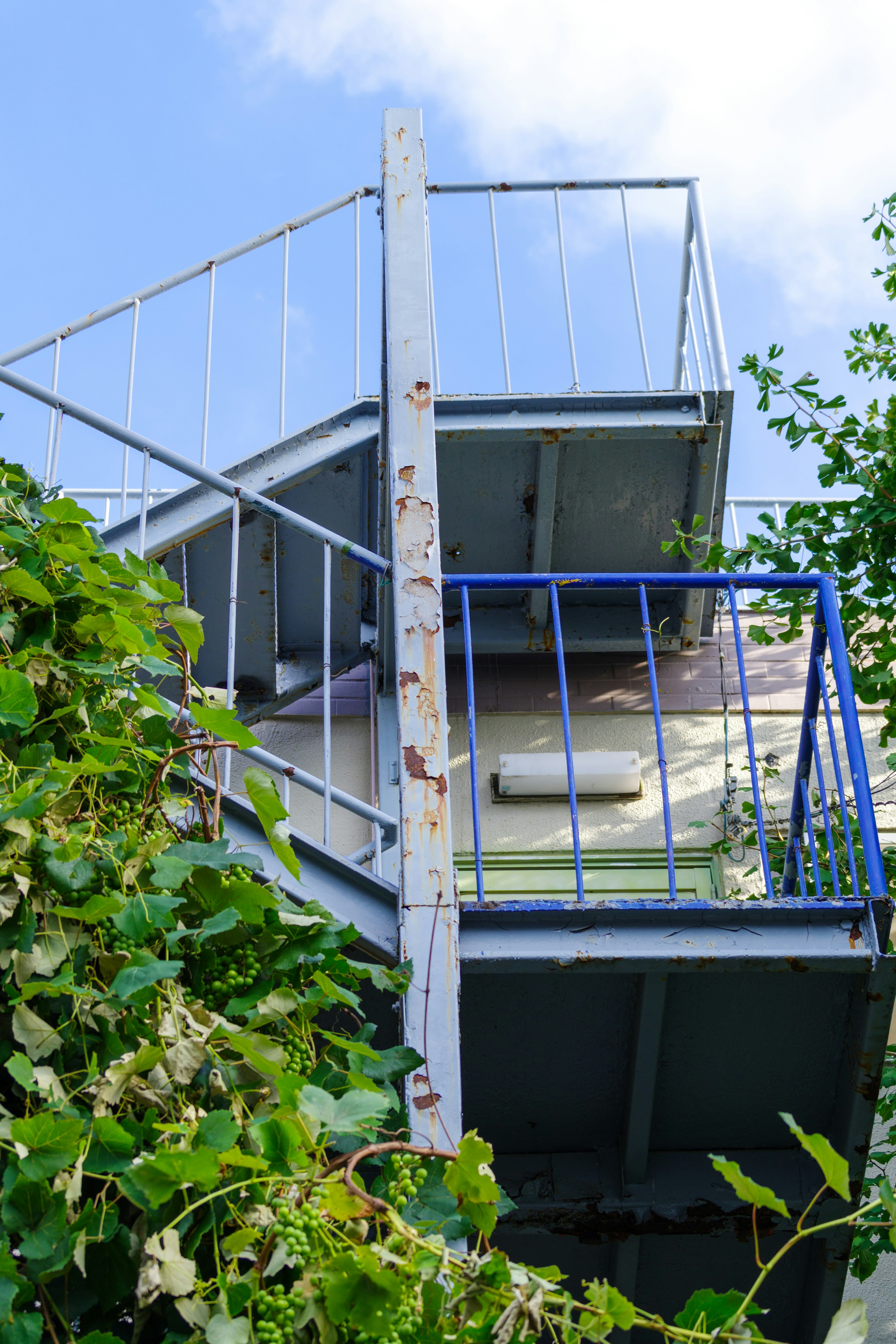 Metal stairs and a platform surrounded by overgrown plants