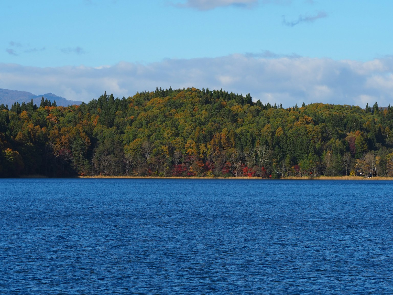 Scenic view of a blue lake surrounded by colorful autumn trees
