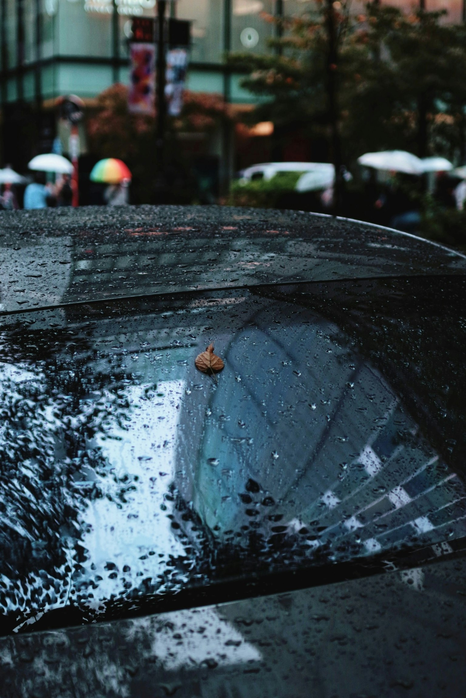 Ventana de coche empapada de lluvia reflejando el paisaje urbano y paraguas
