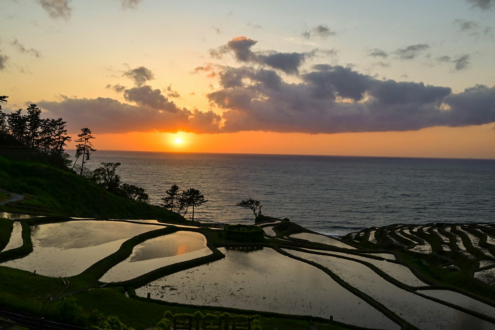 夕焼けの棚田と海を望む景色