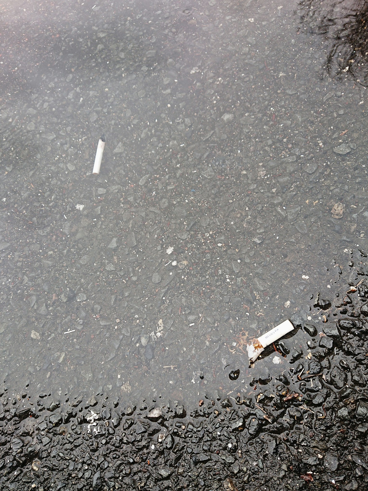 Puddle reflecting gray asphalt with cigarette butts