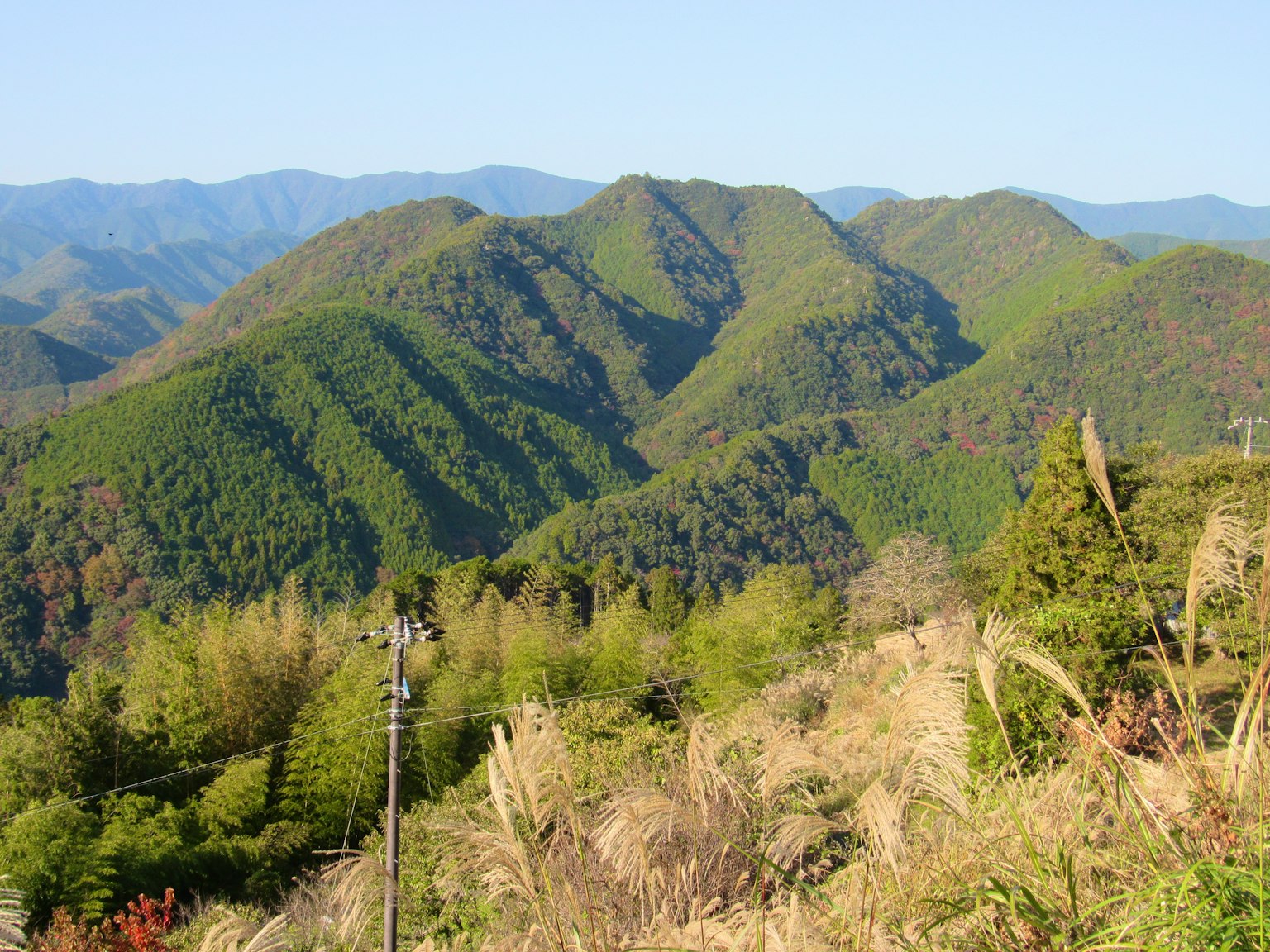 Lush green mountains under a clear blue sky