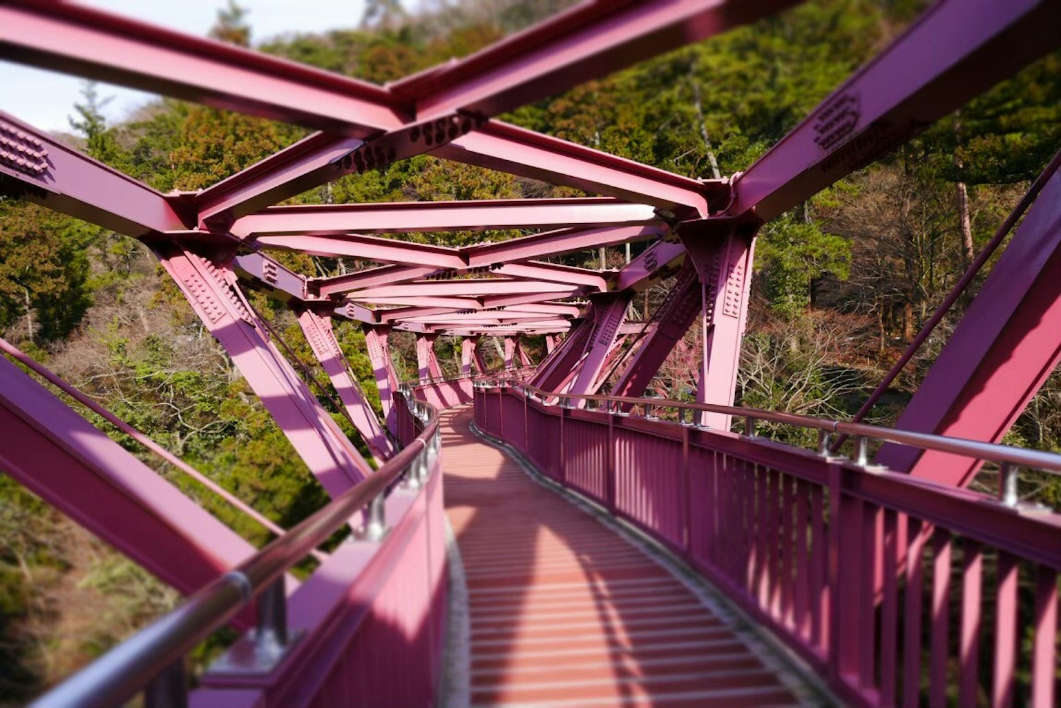 Un puente de metal rosa con un camino sinuoso rodeado de árboles verdes exuberantes
