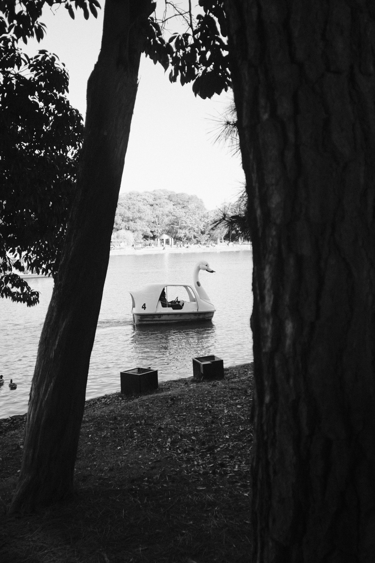 Un bateau en forme de cygne flottant sur un lac vu à travers des arbres