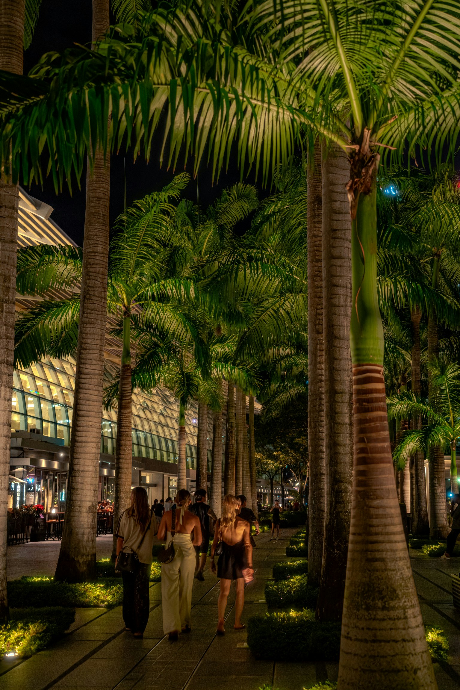 夜のパームツリーに囲まれた歩道を歩く人々