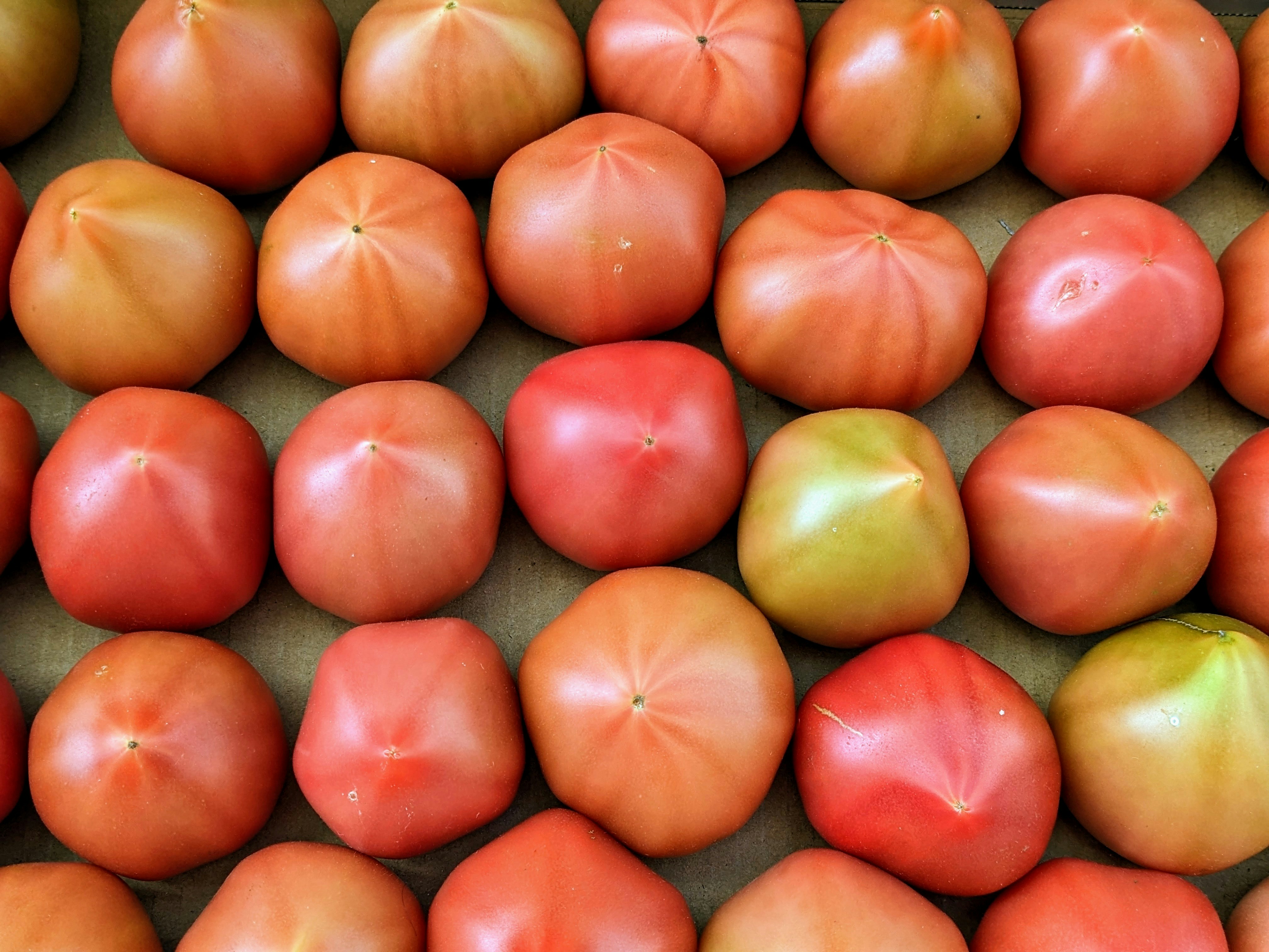 tas de tomates