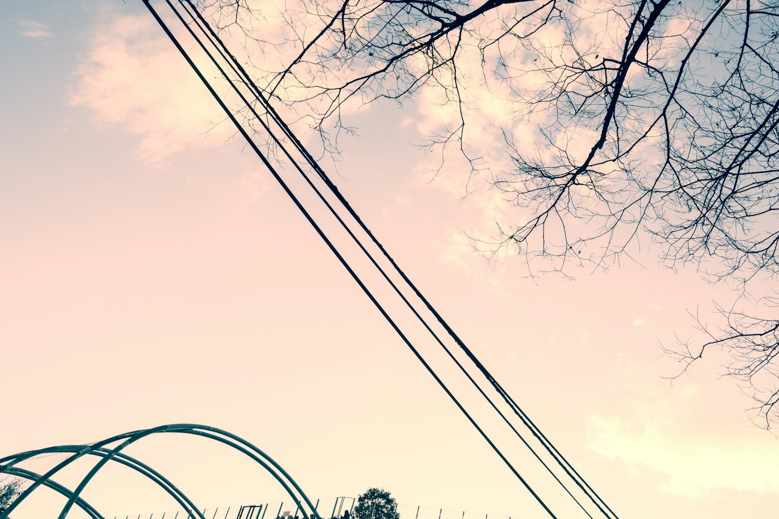 ท้องฟ้านุ่มนวลมีอุโมงค์สีน้ำเงินและสายไฟข้างกิ่งไม้