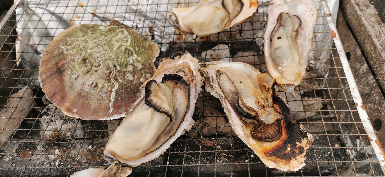 Gegrillte Muscheln und Schalen auf einem Grill